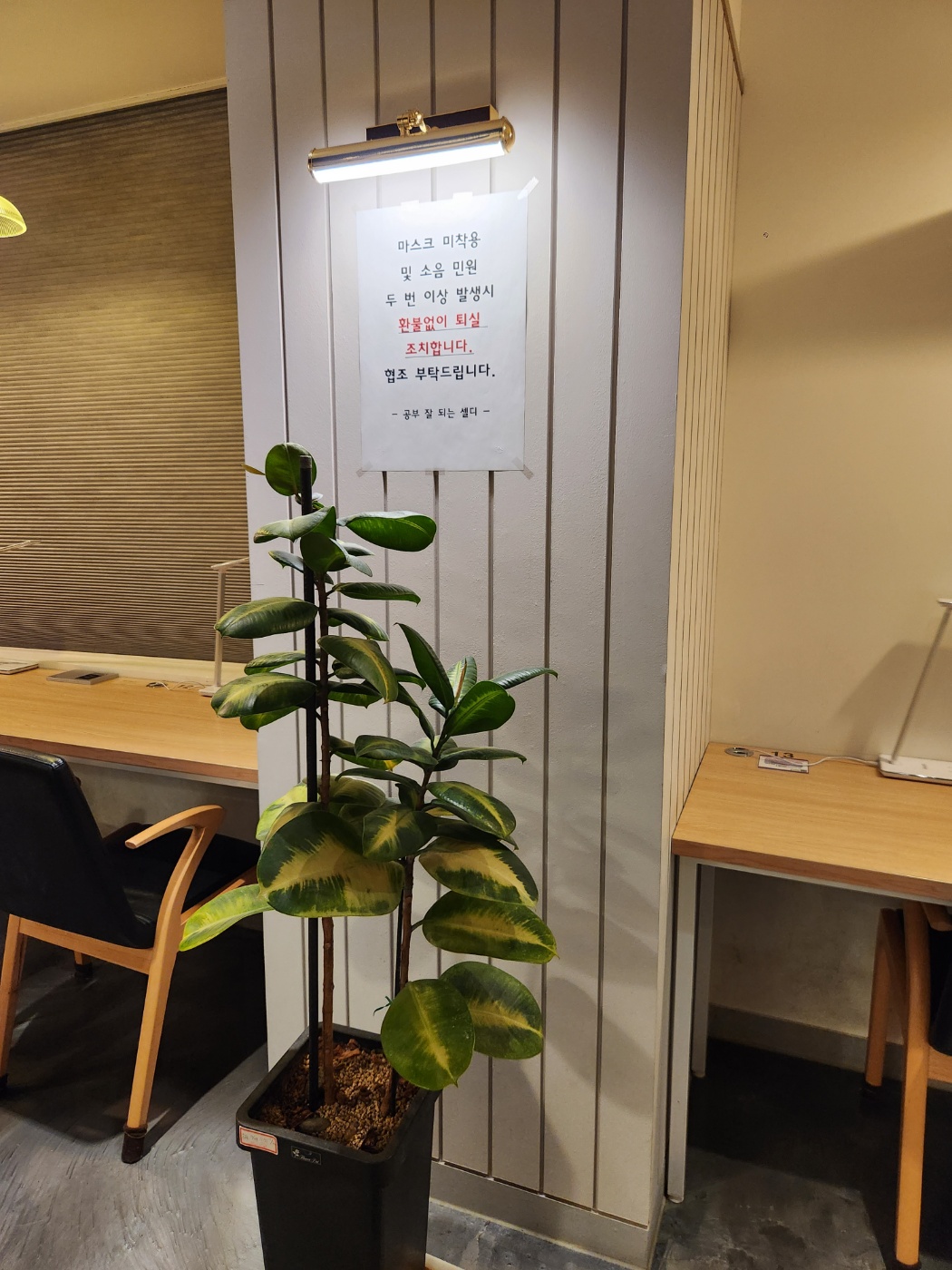 업체사진