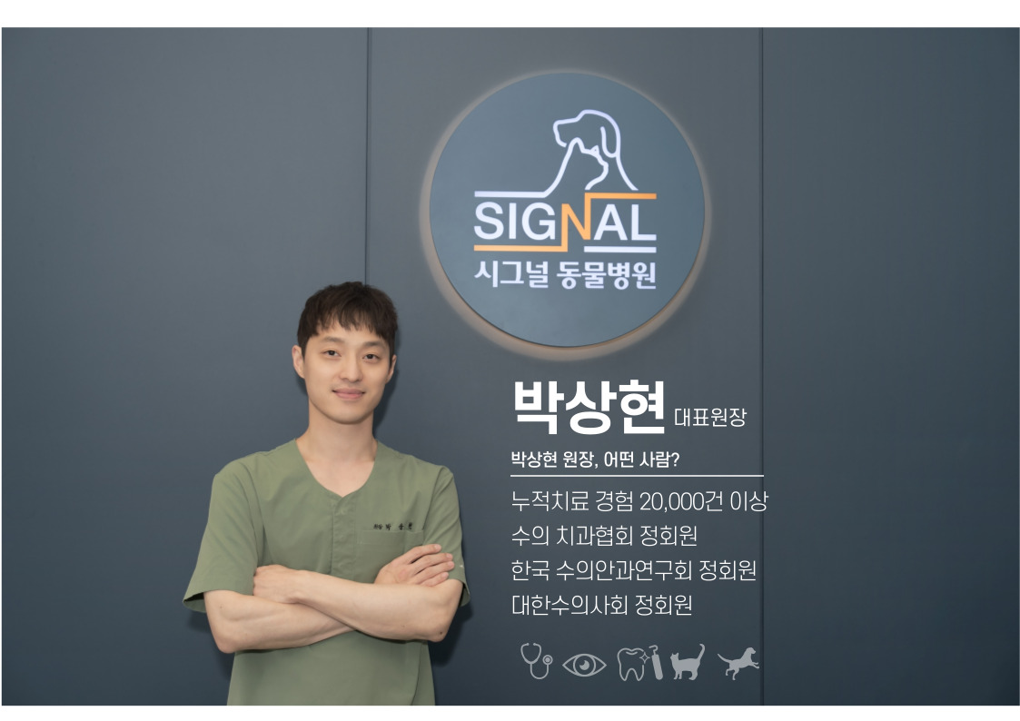 시그널동물병원