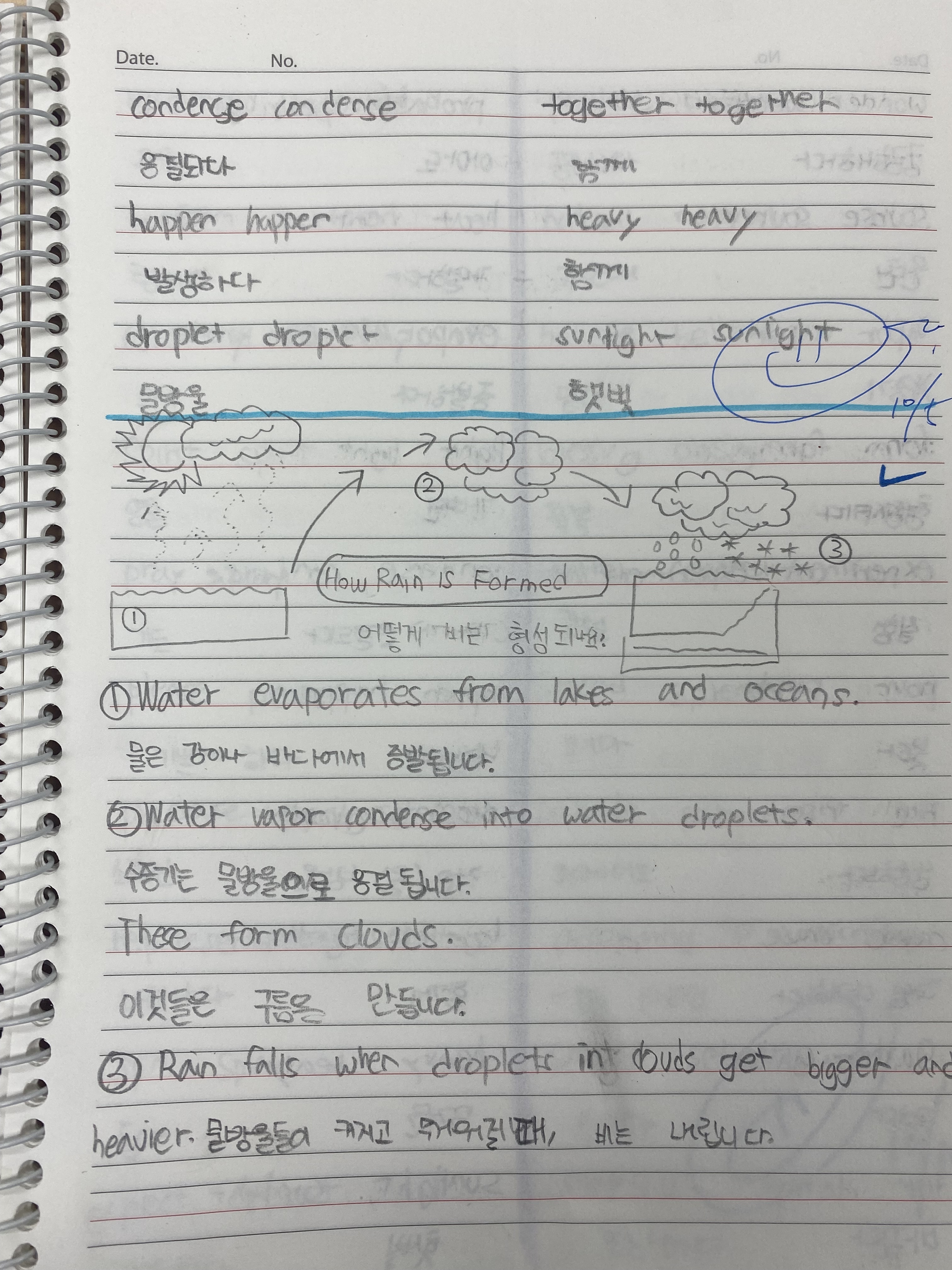 양쌤영어