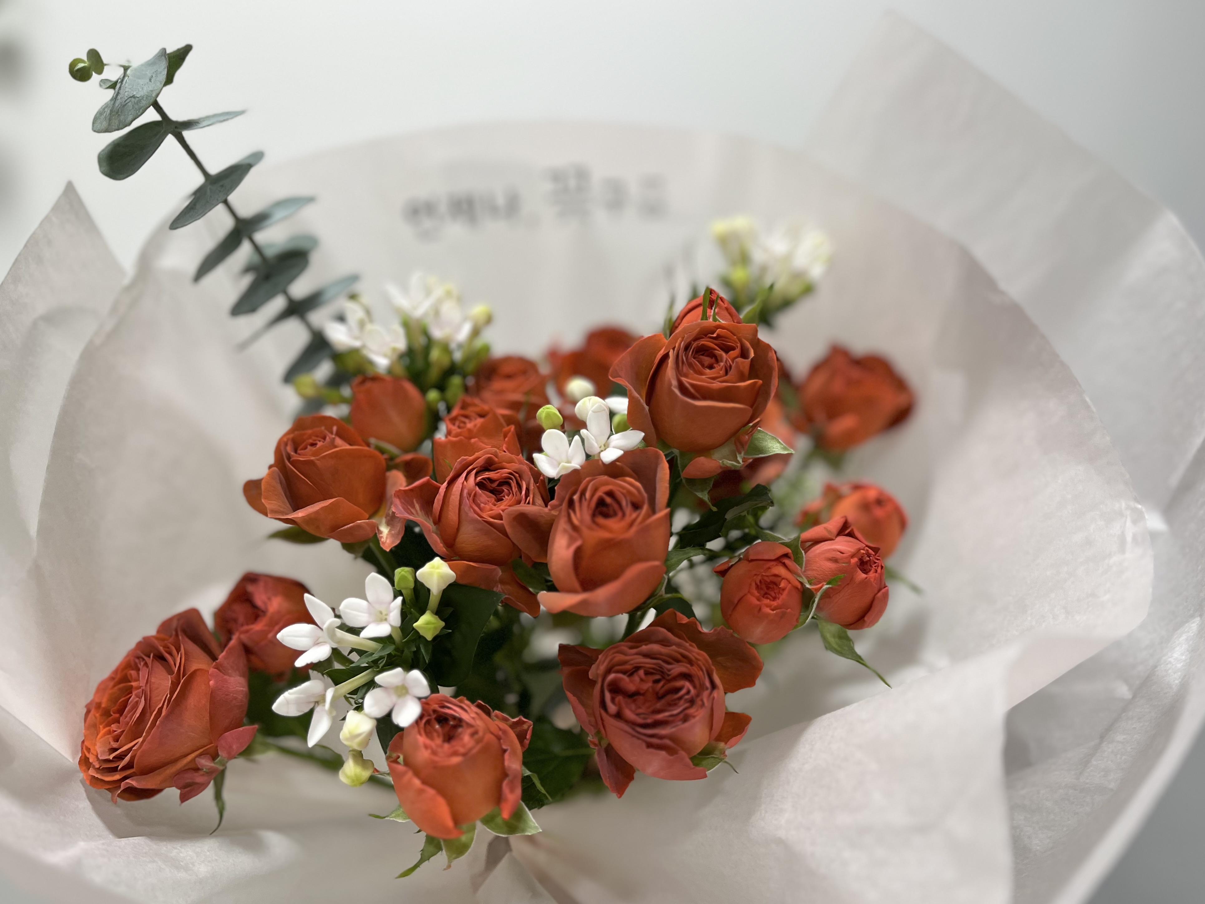 언제나꽃구름