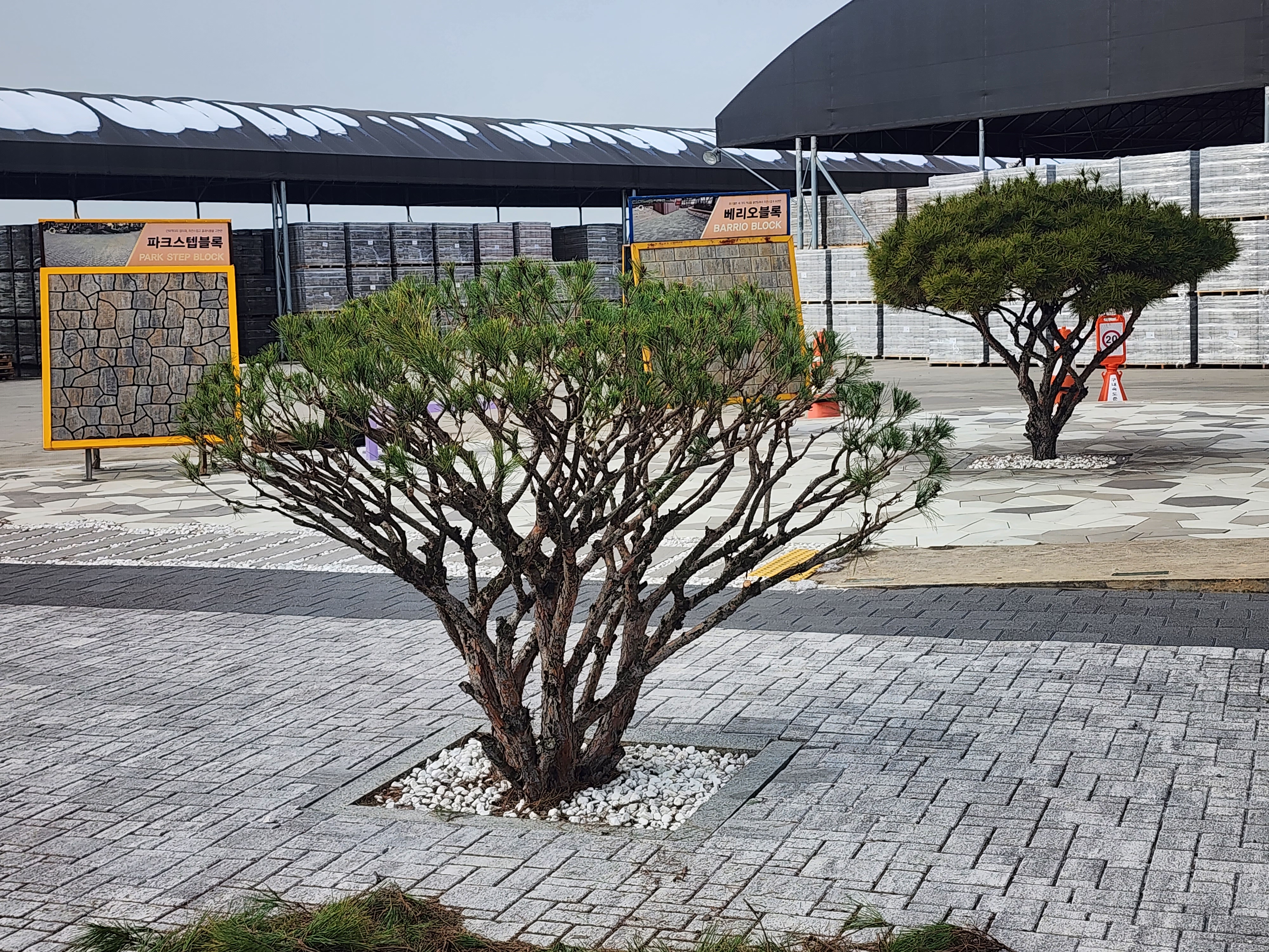 드림조경