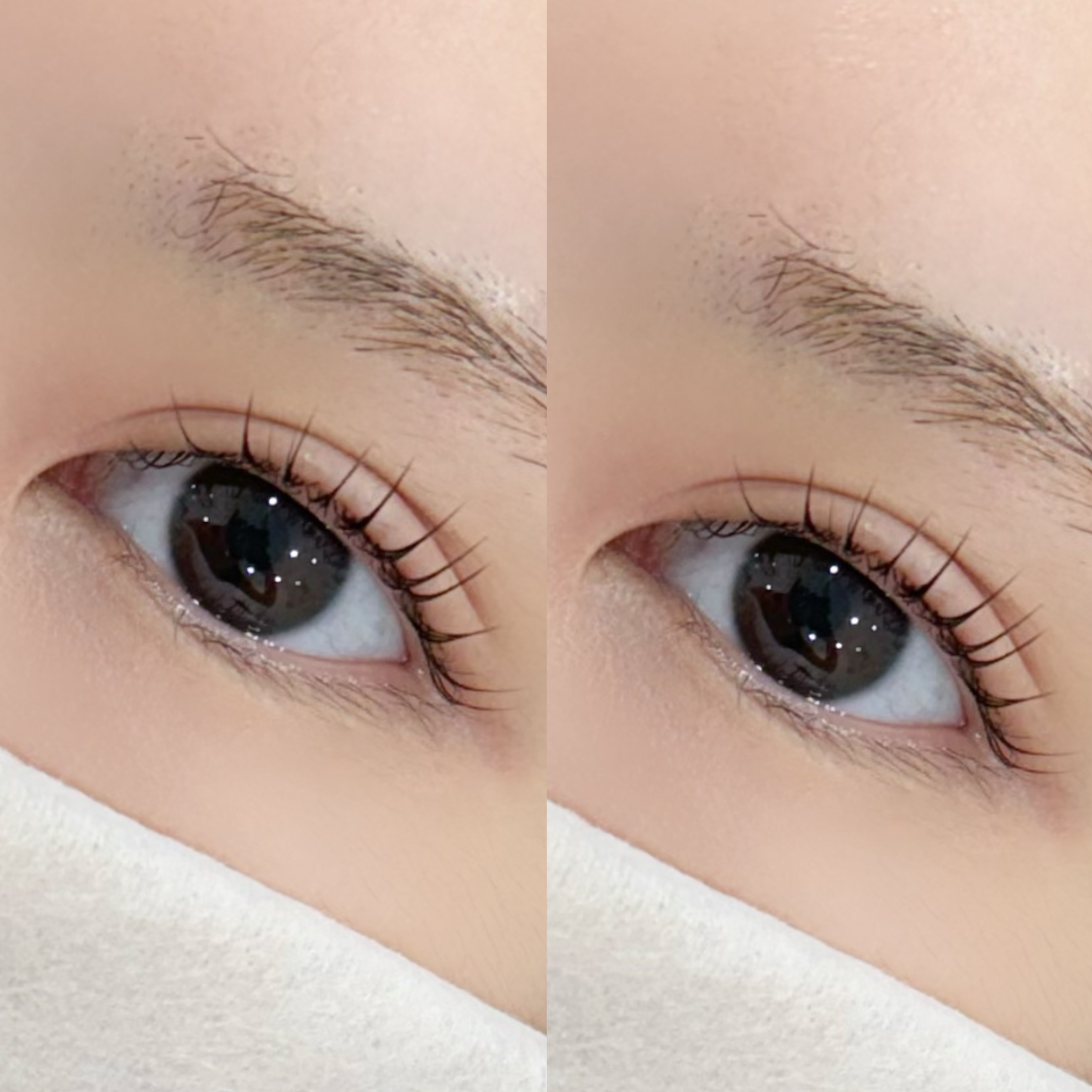 아티스트비에스 복수점 대표 이미지