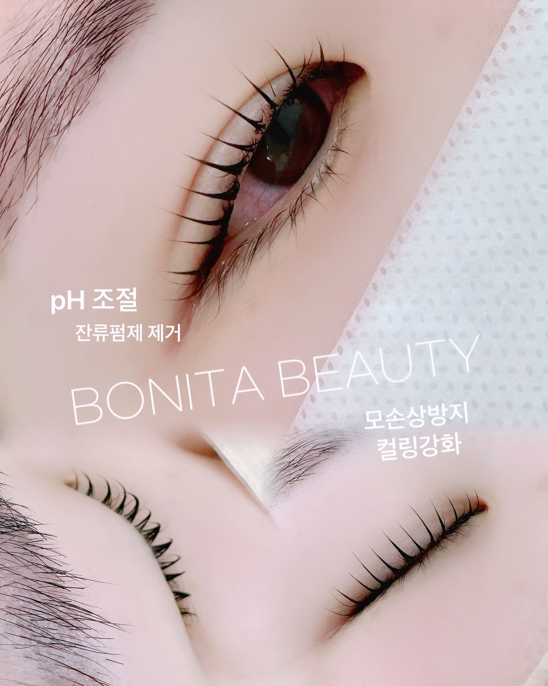 보니타뷰티