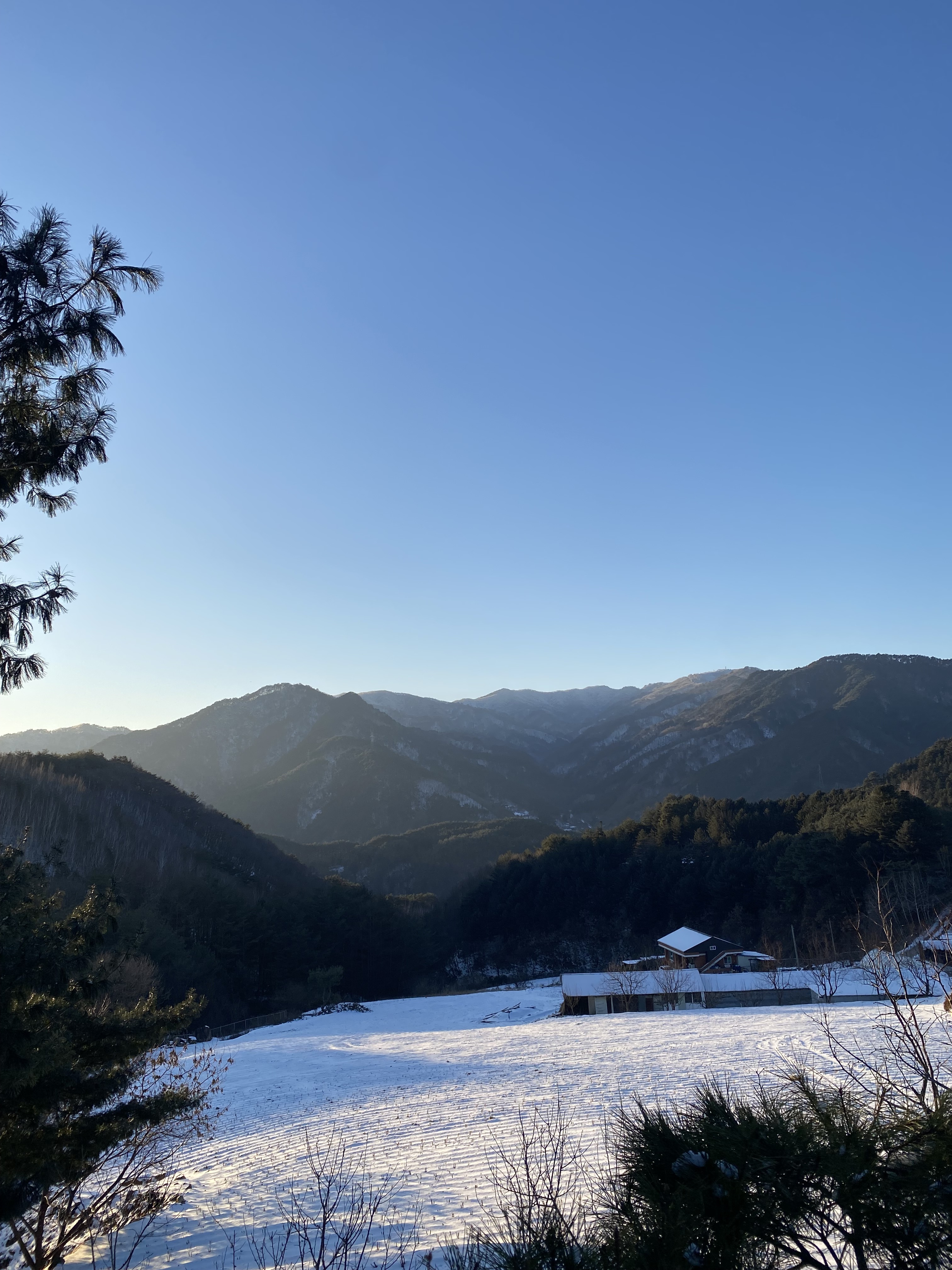 욱이네민박