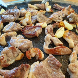 낙단보생오리