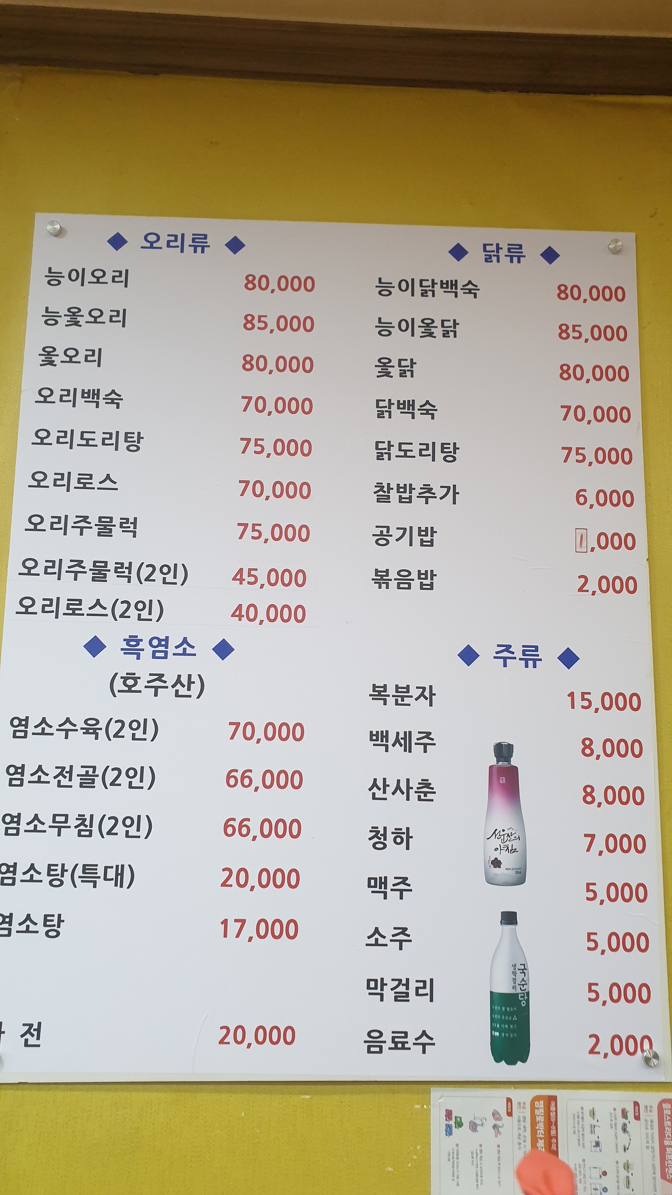 국대오리