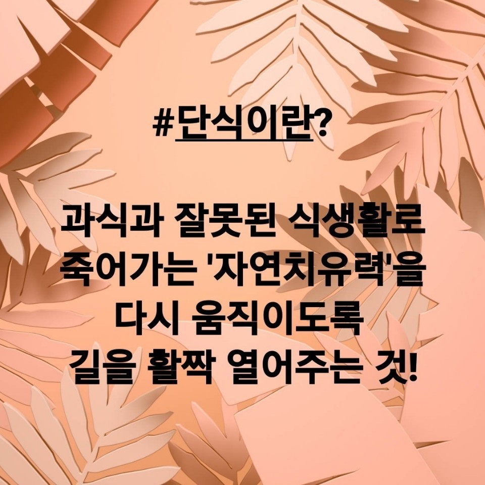 오혜숙생활단식 그레이스힐링지사