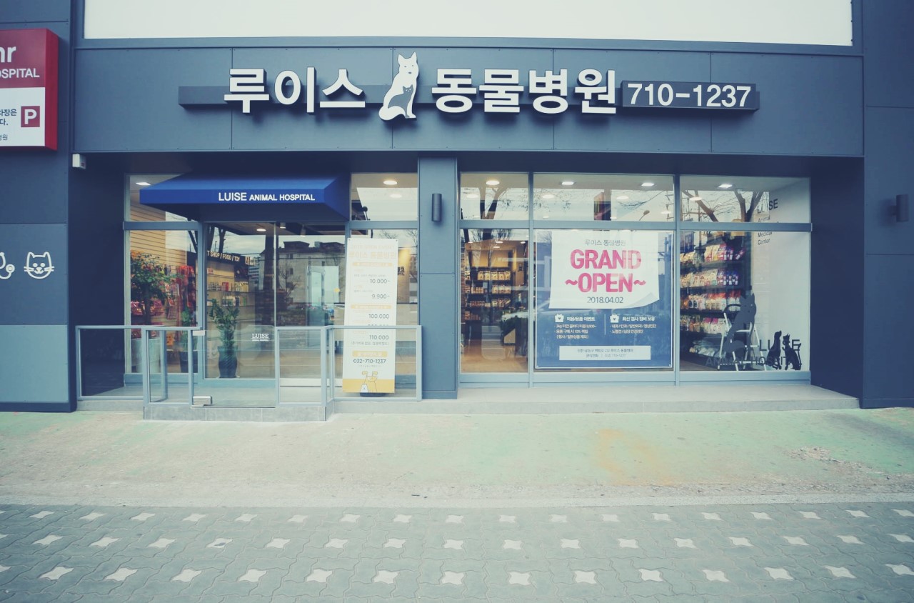루이스 24시 동물병원 내부 또는 관련 모습
