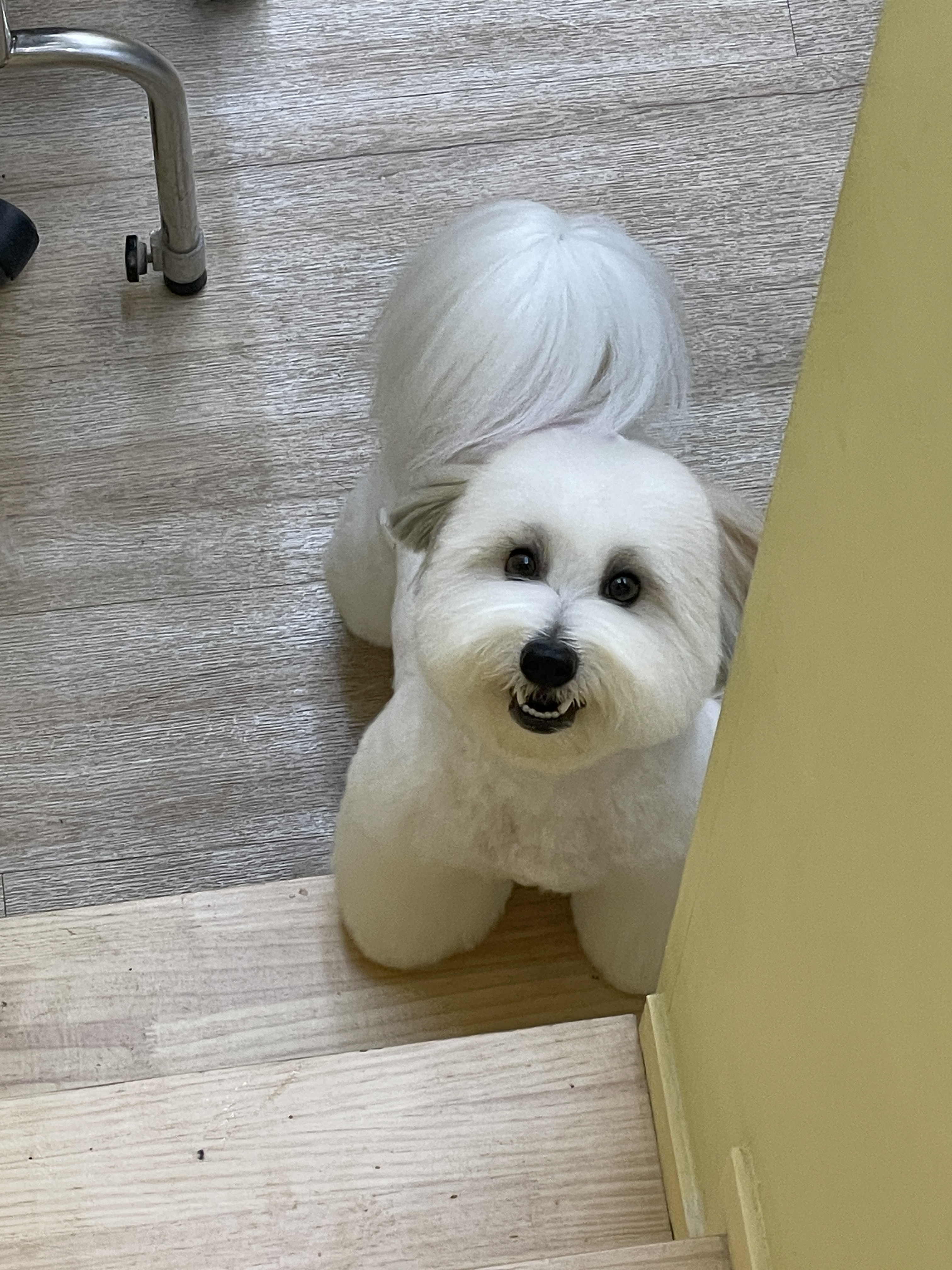 킨더그루밍 대표 이미지