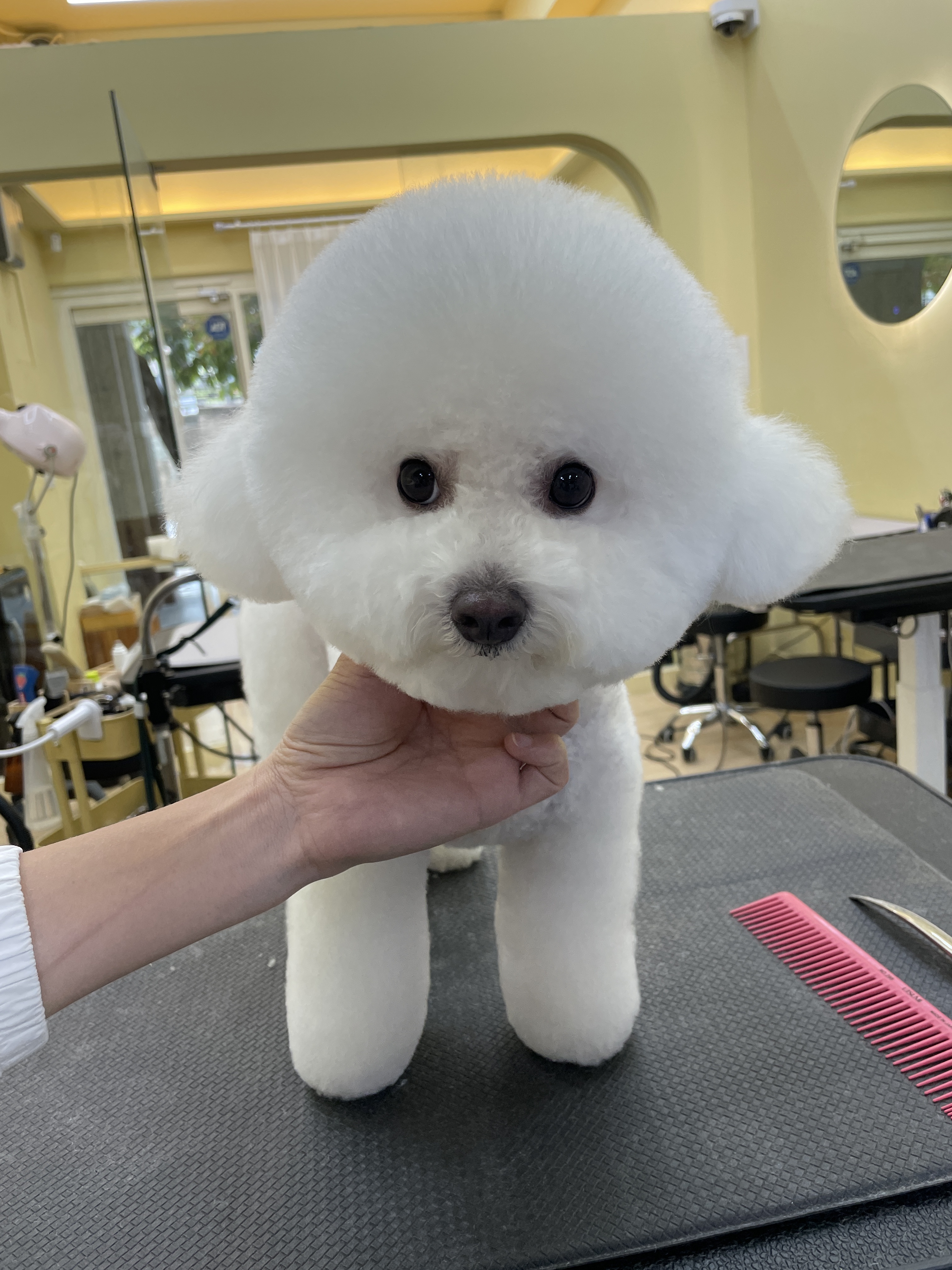 킨더그루밍 대표 이미지