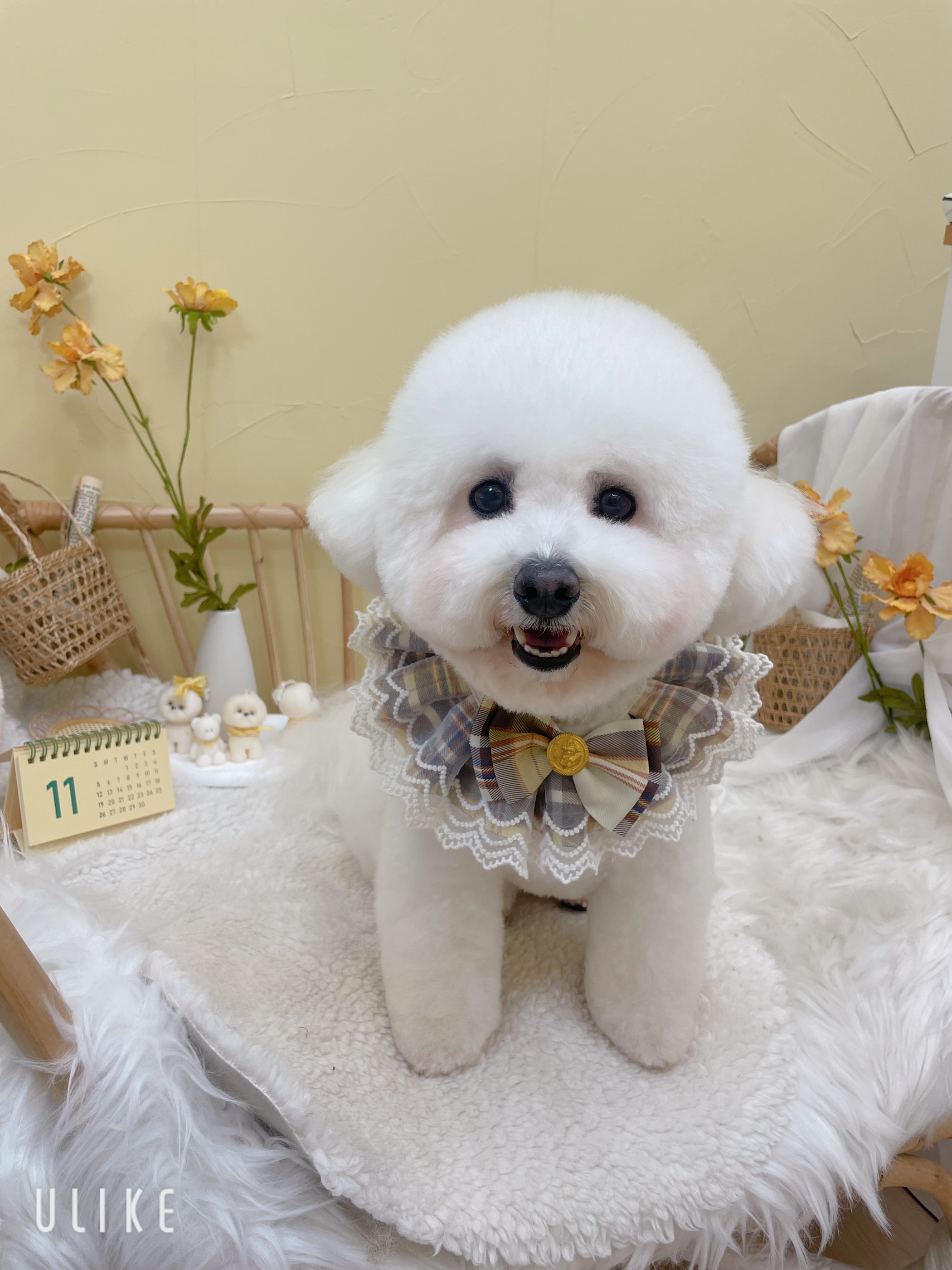 킨더그루밍 대표 이미지