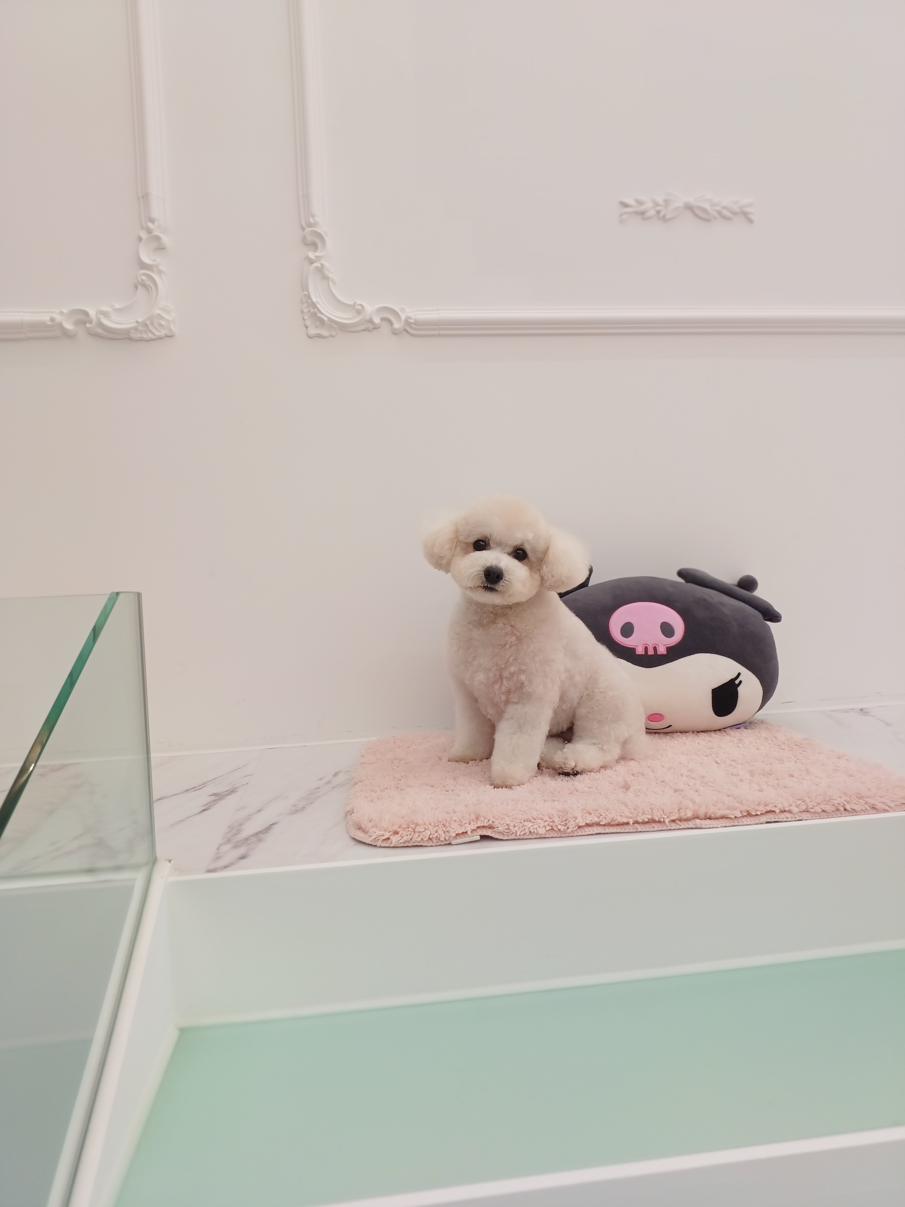 THE빛나개 대표 이미지