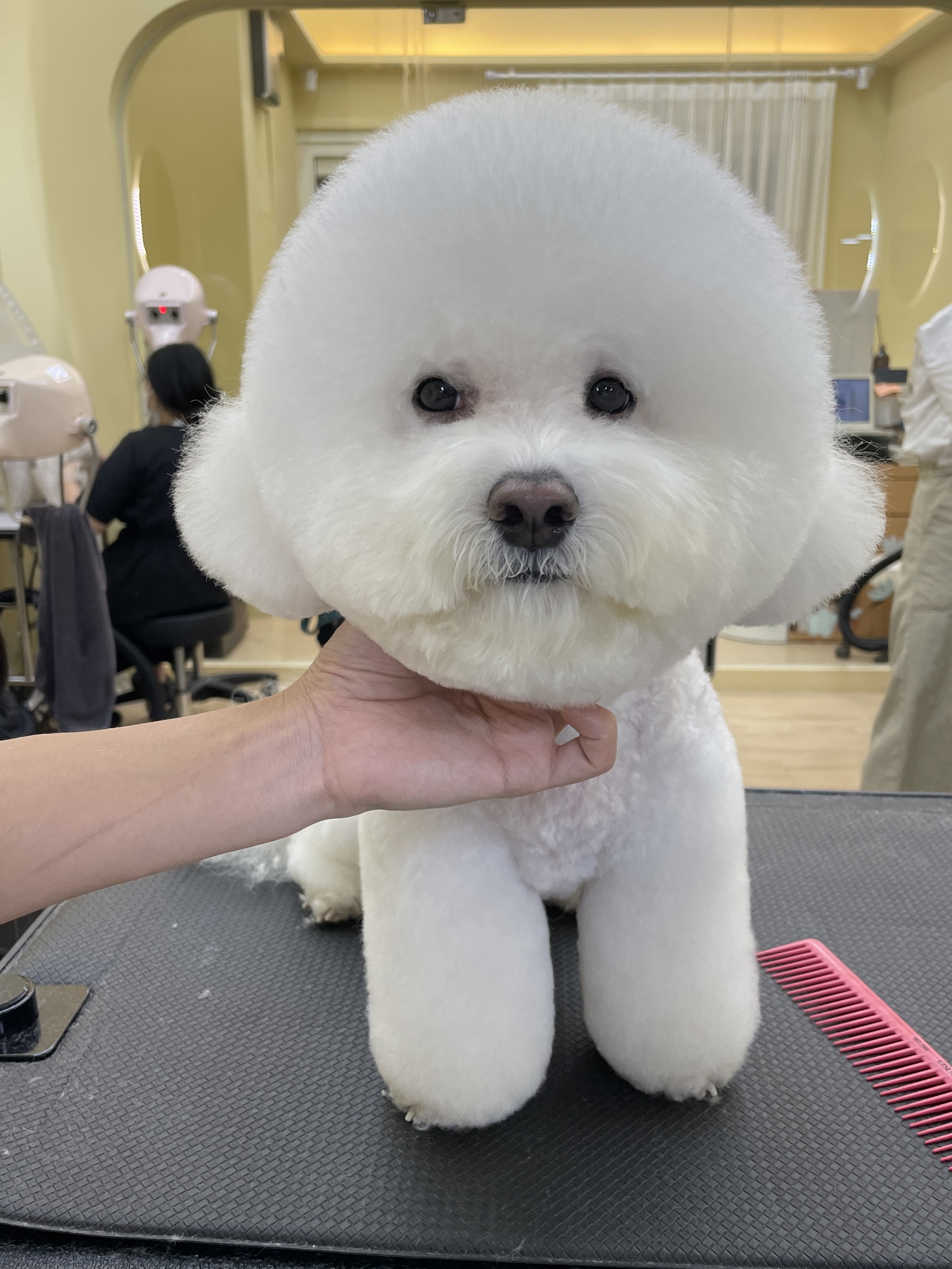 킨더그루밍 대표 이미지