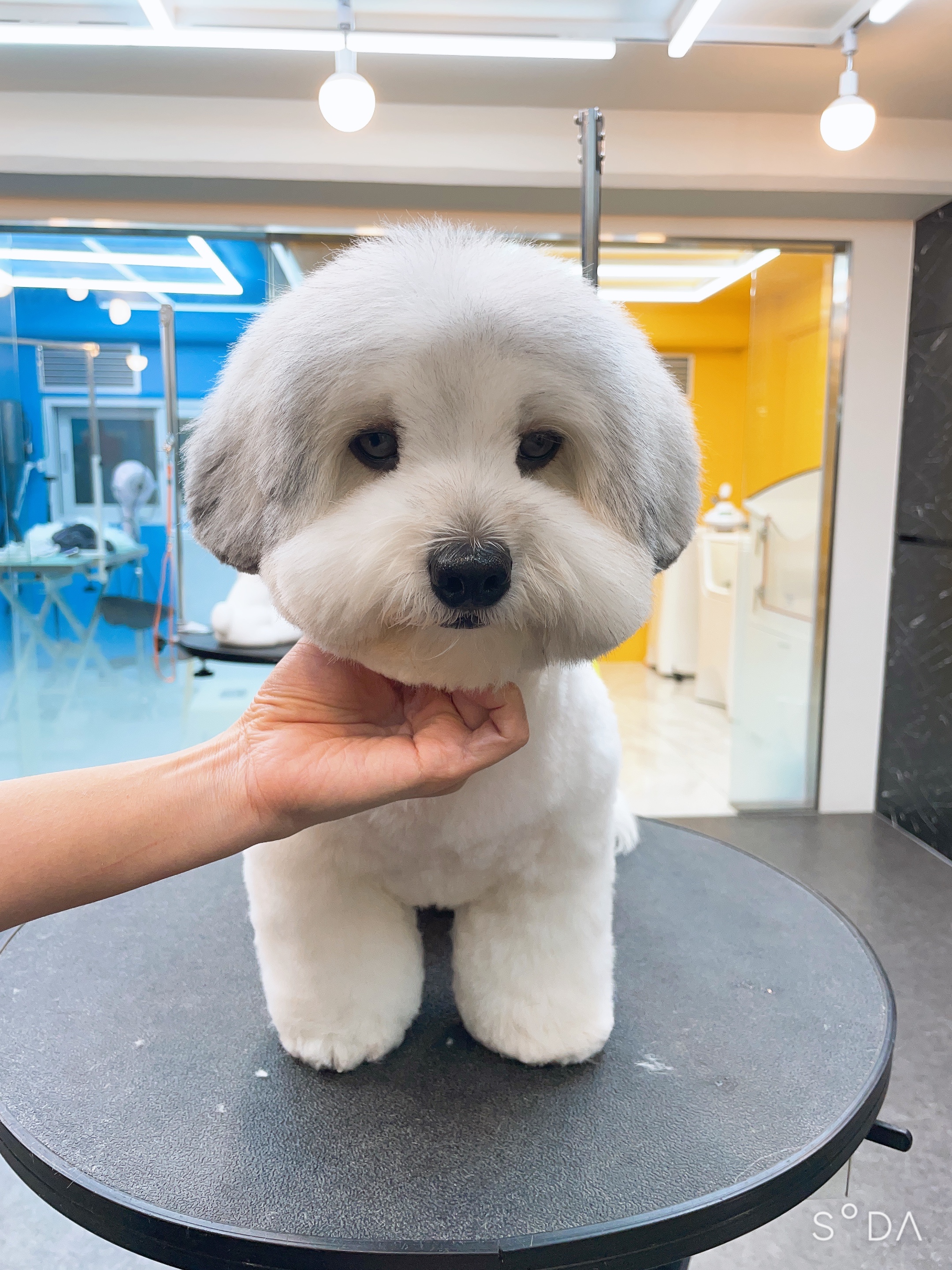 킨더그루밍 대표 이미지