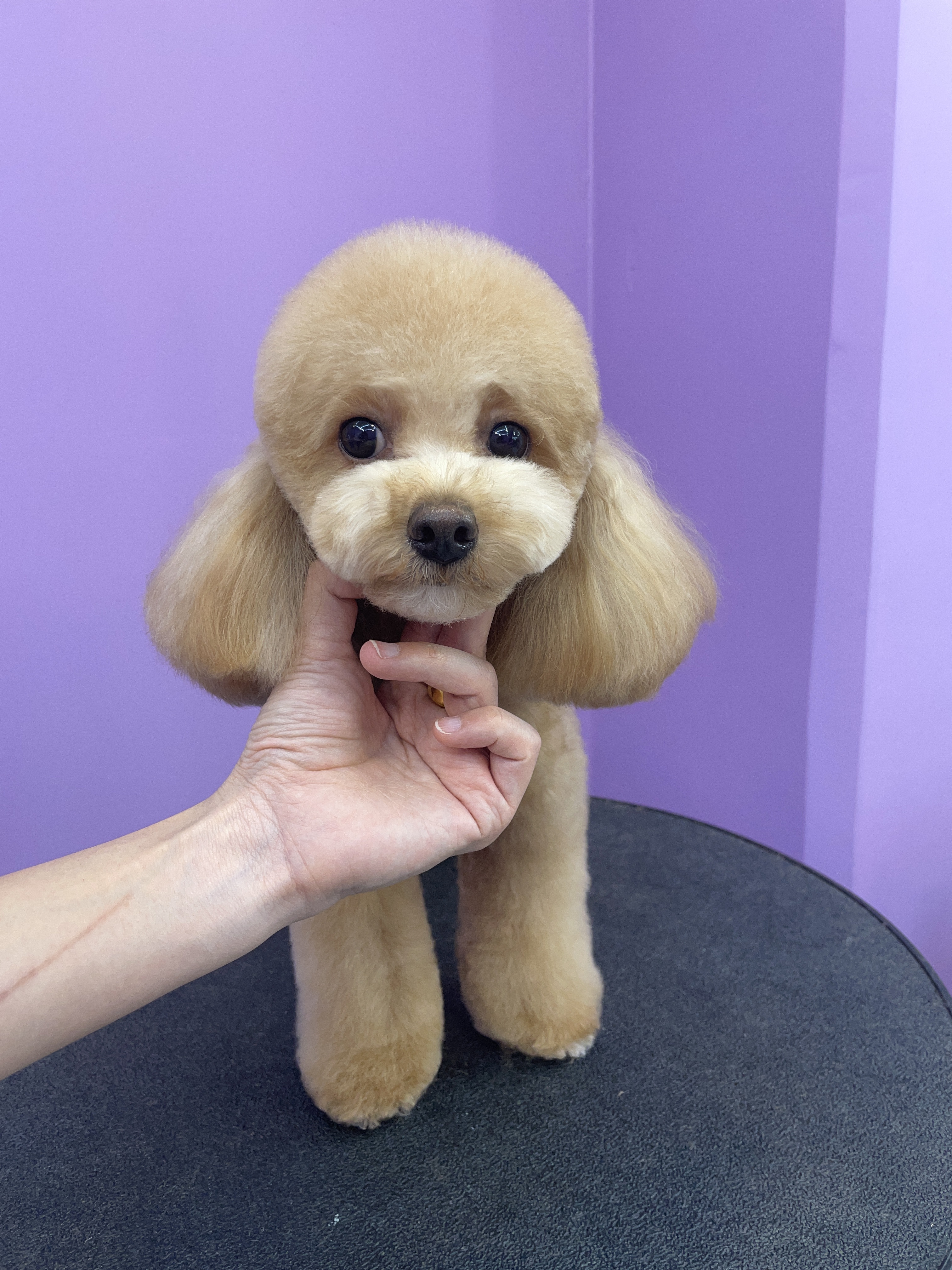 킨더그루밍 대표 이미지