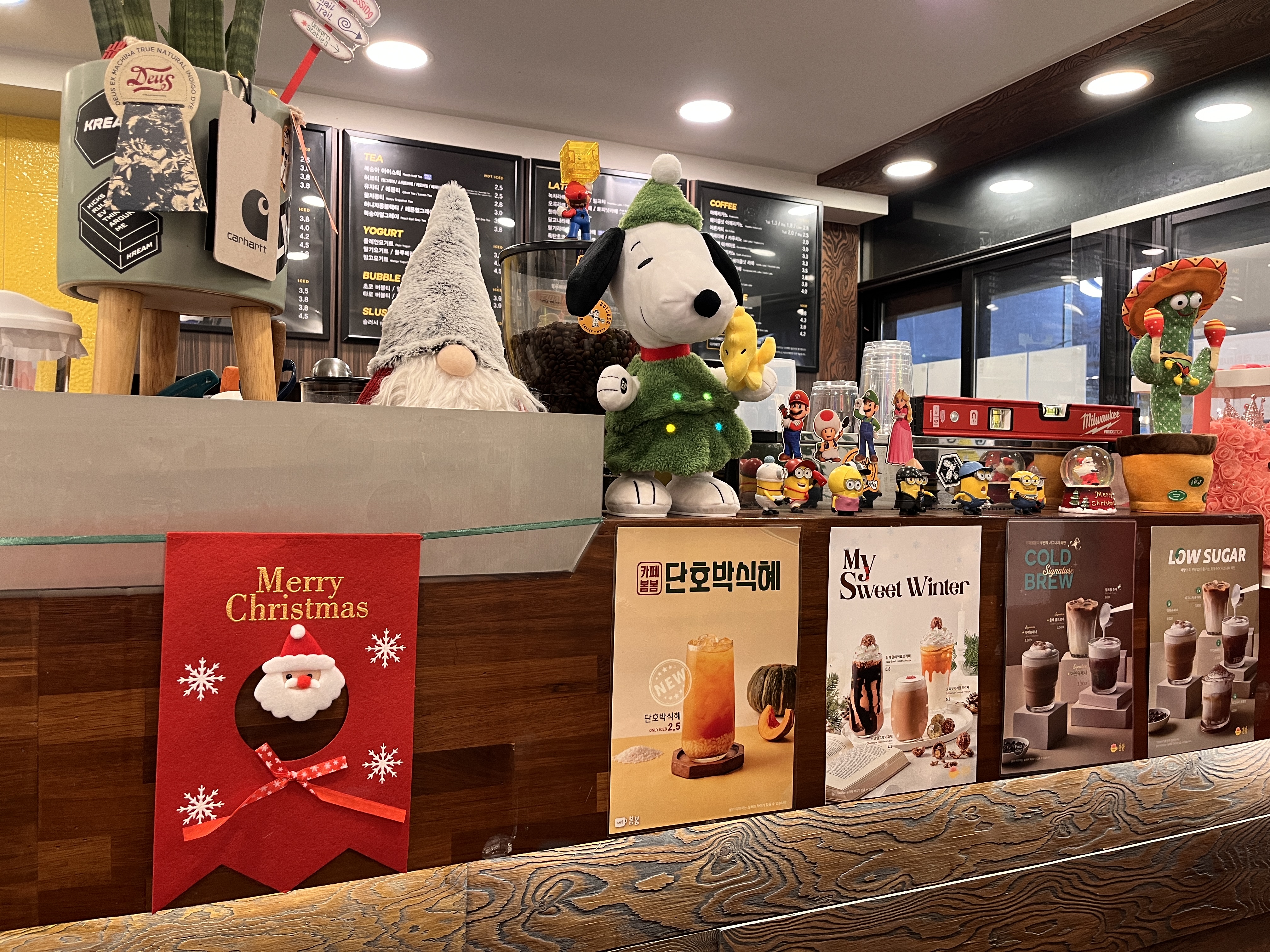 카페봄봄 의령점 경상 애견맛집