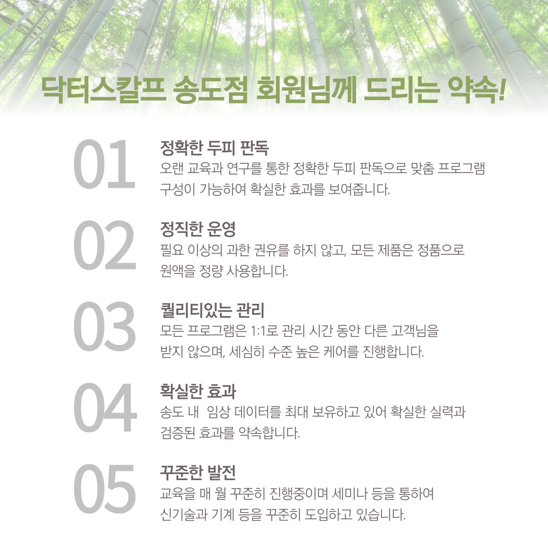 닥터스칼프 인천송도점