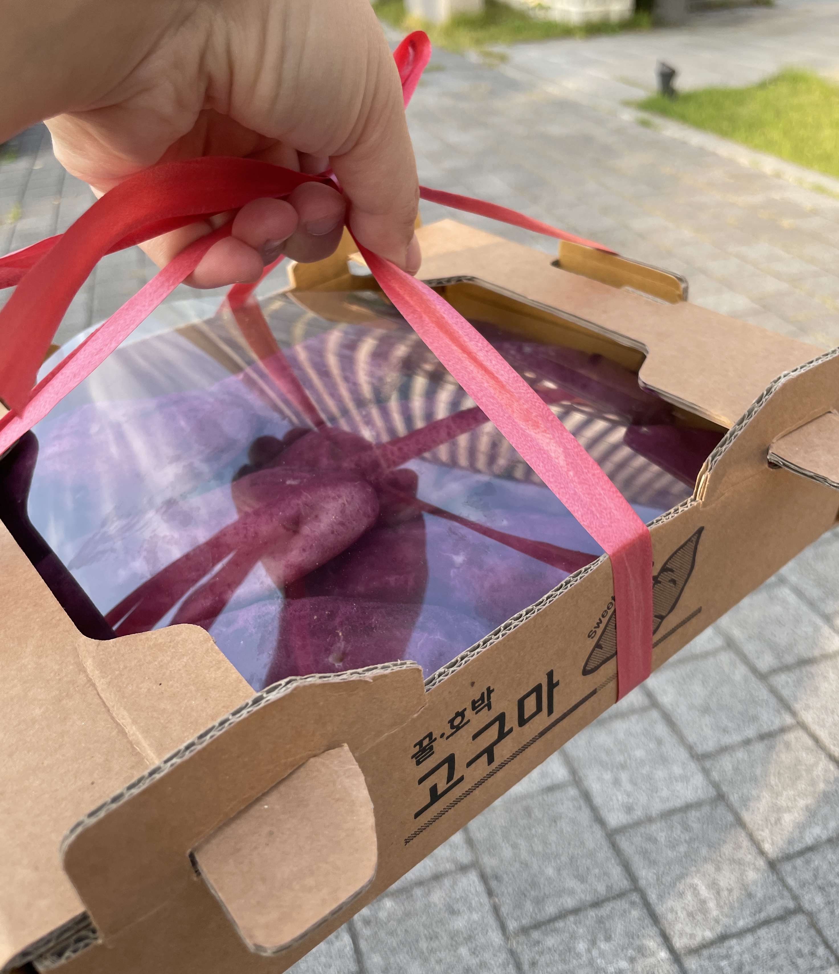 라서울리엔느