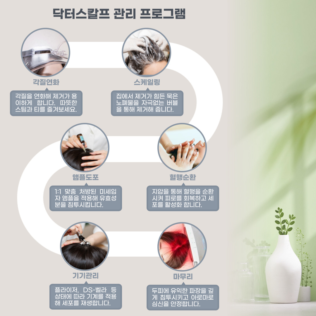 닥터스칼프 인천송도점