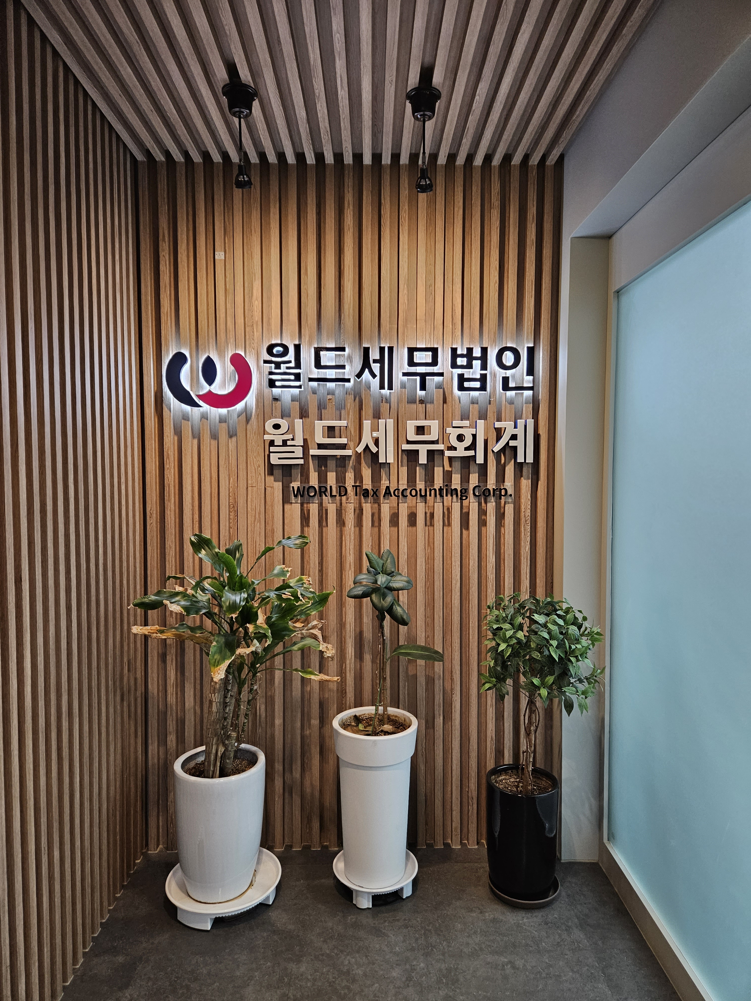 월드세무회계