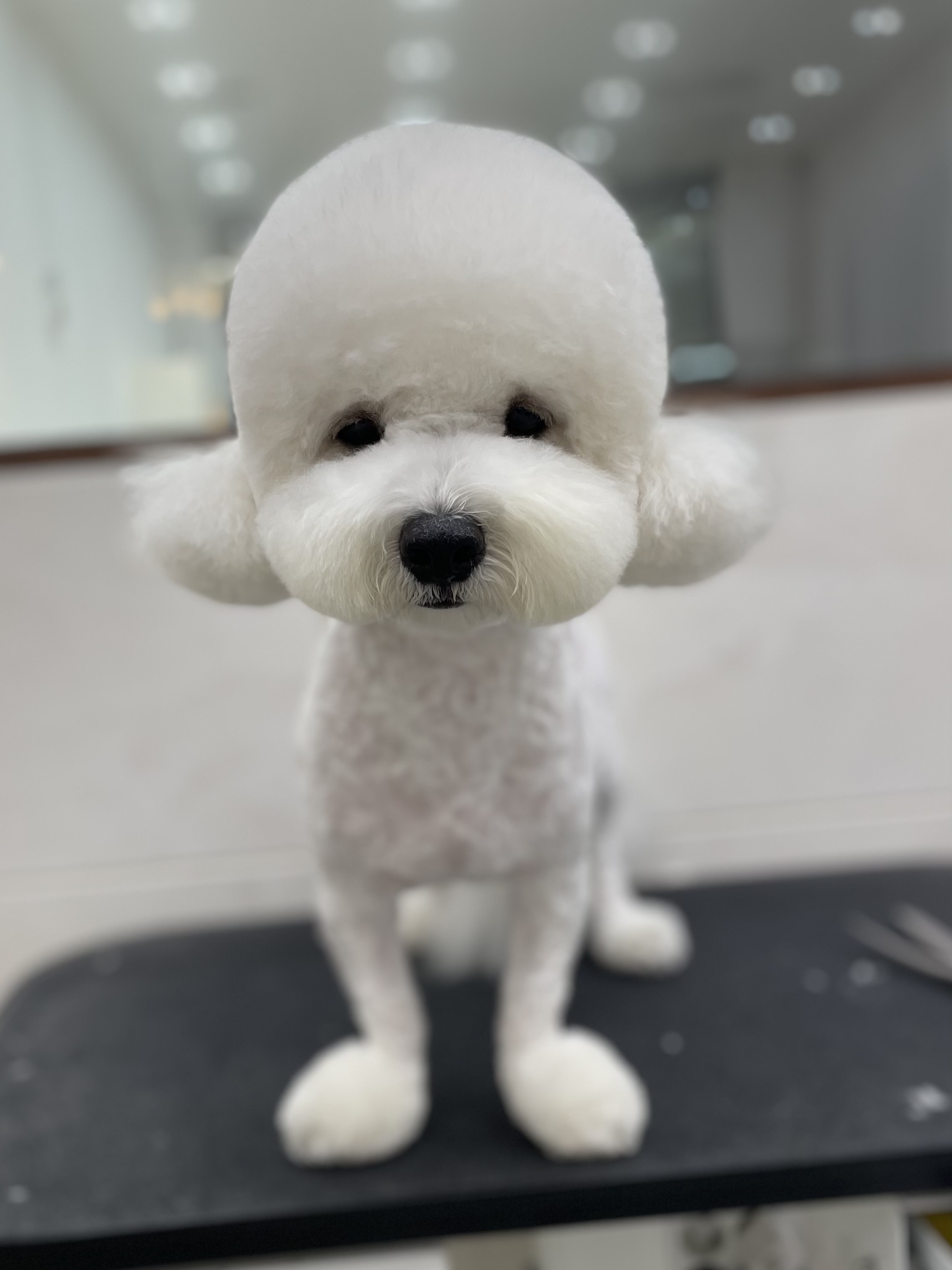 무르무르 대표 이미지