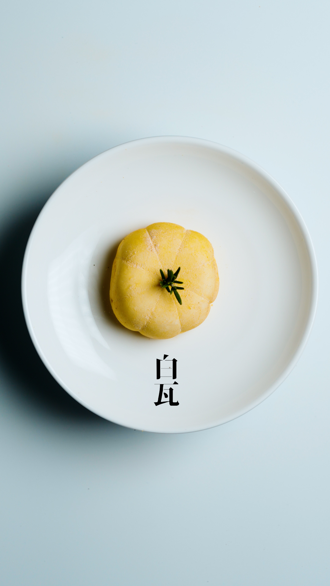 백와 경상 애견카페