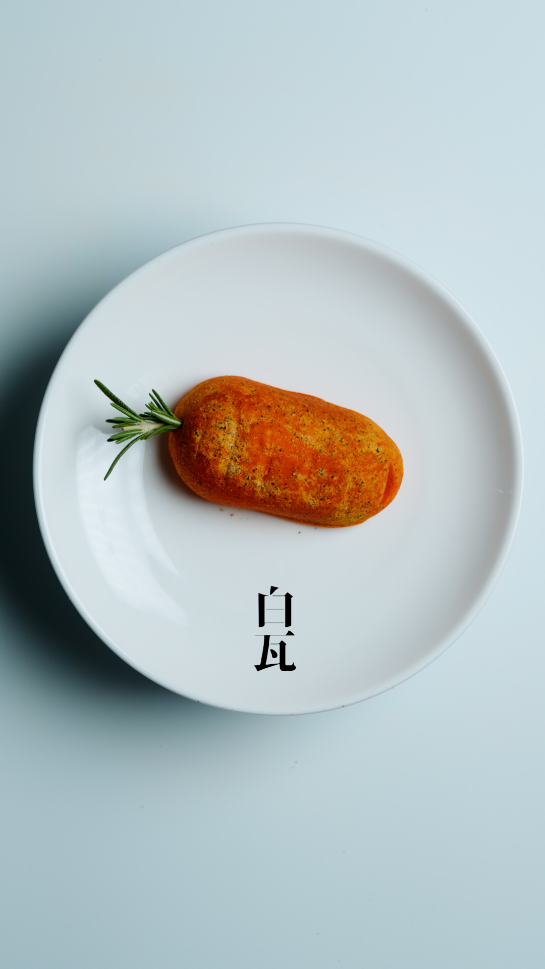 백와 경상 애견맛집