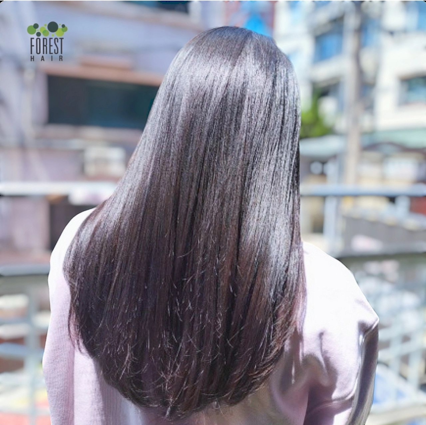 포레스트헤어