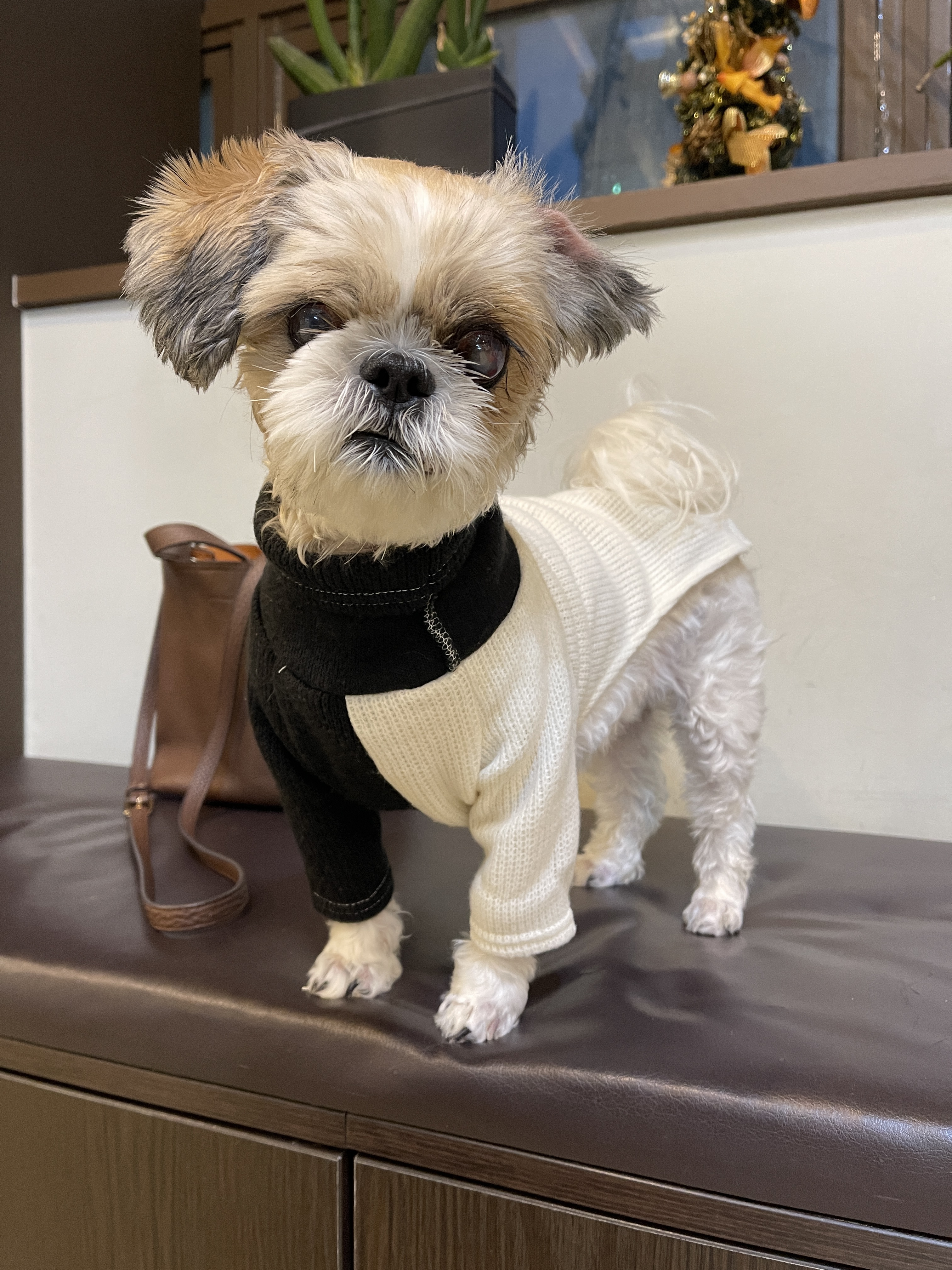 아무도없개 보문역점 대표 이미지