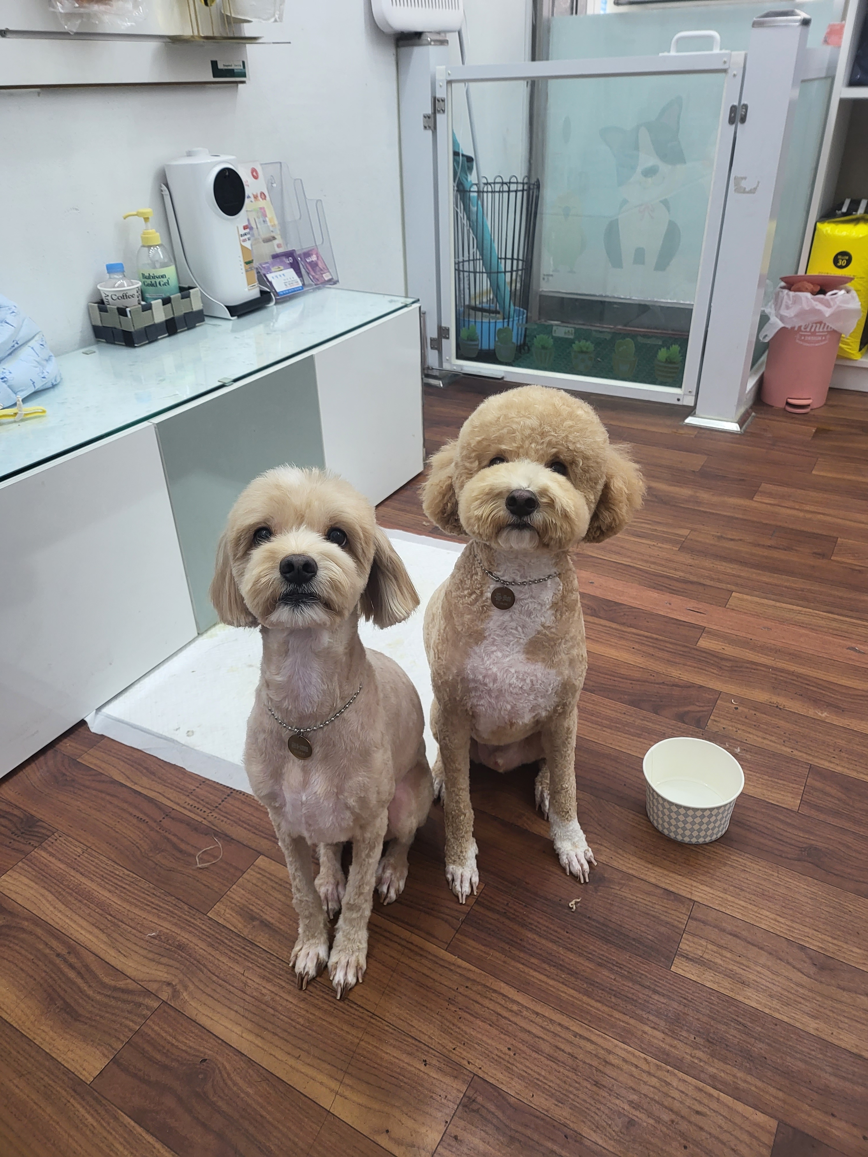 도기살롱 대표 이미지