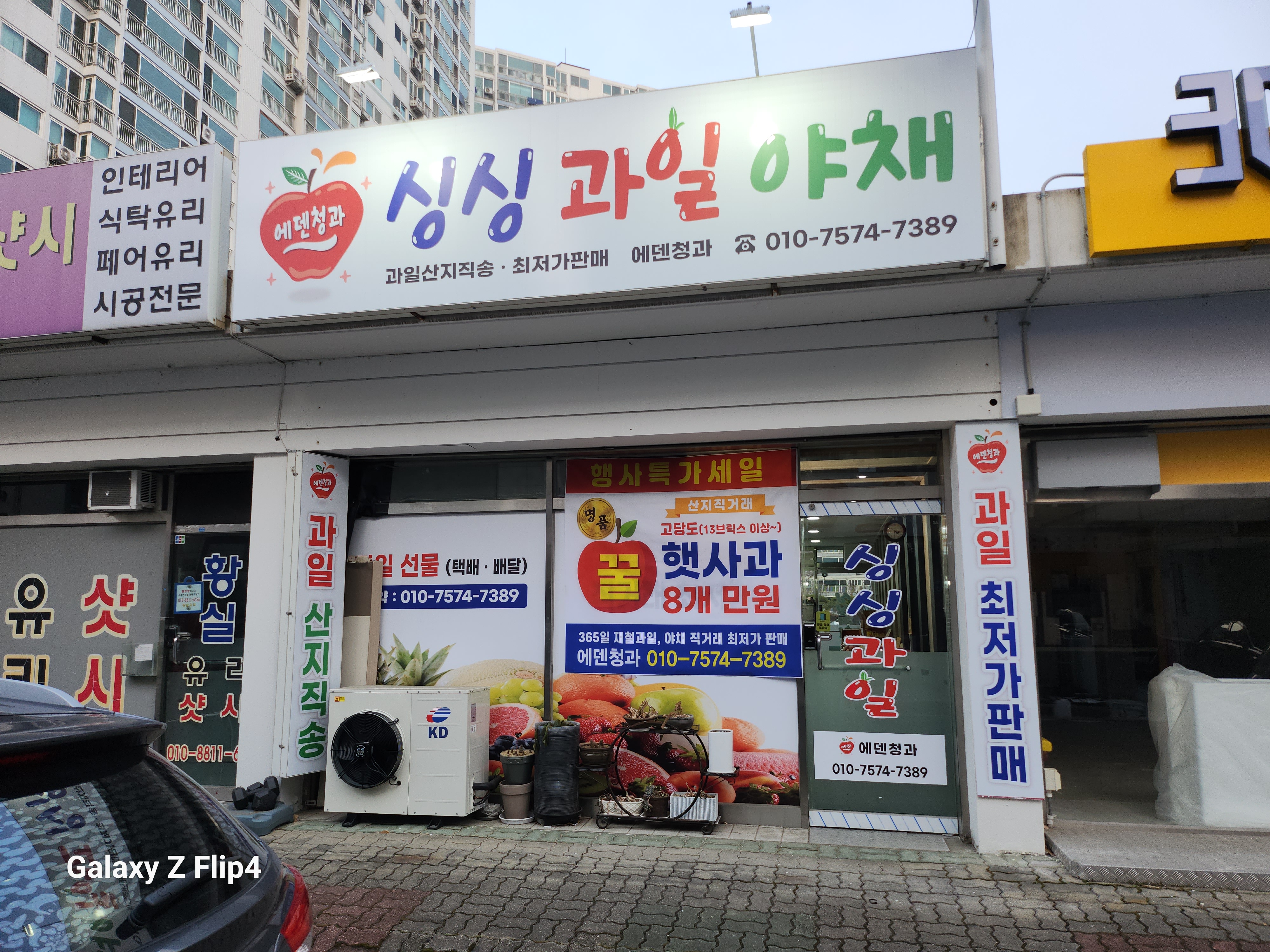 에덴청과모스테라