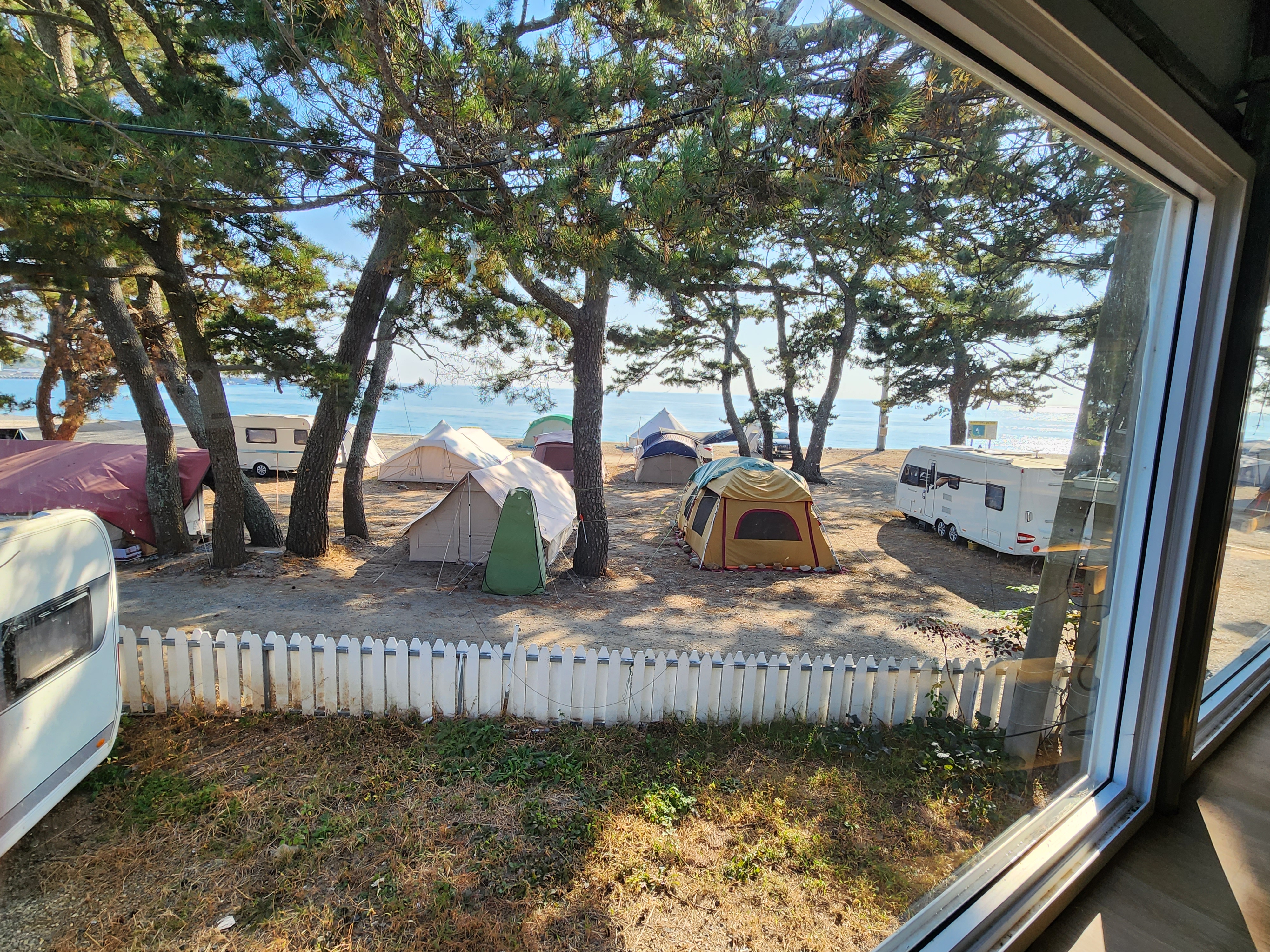 도영농원