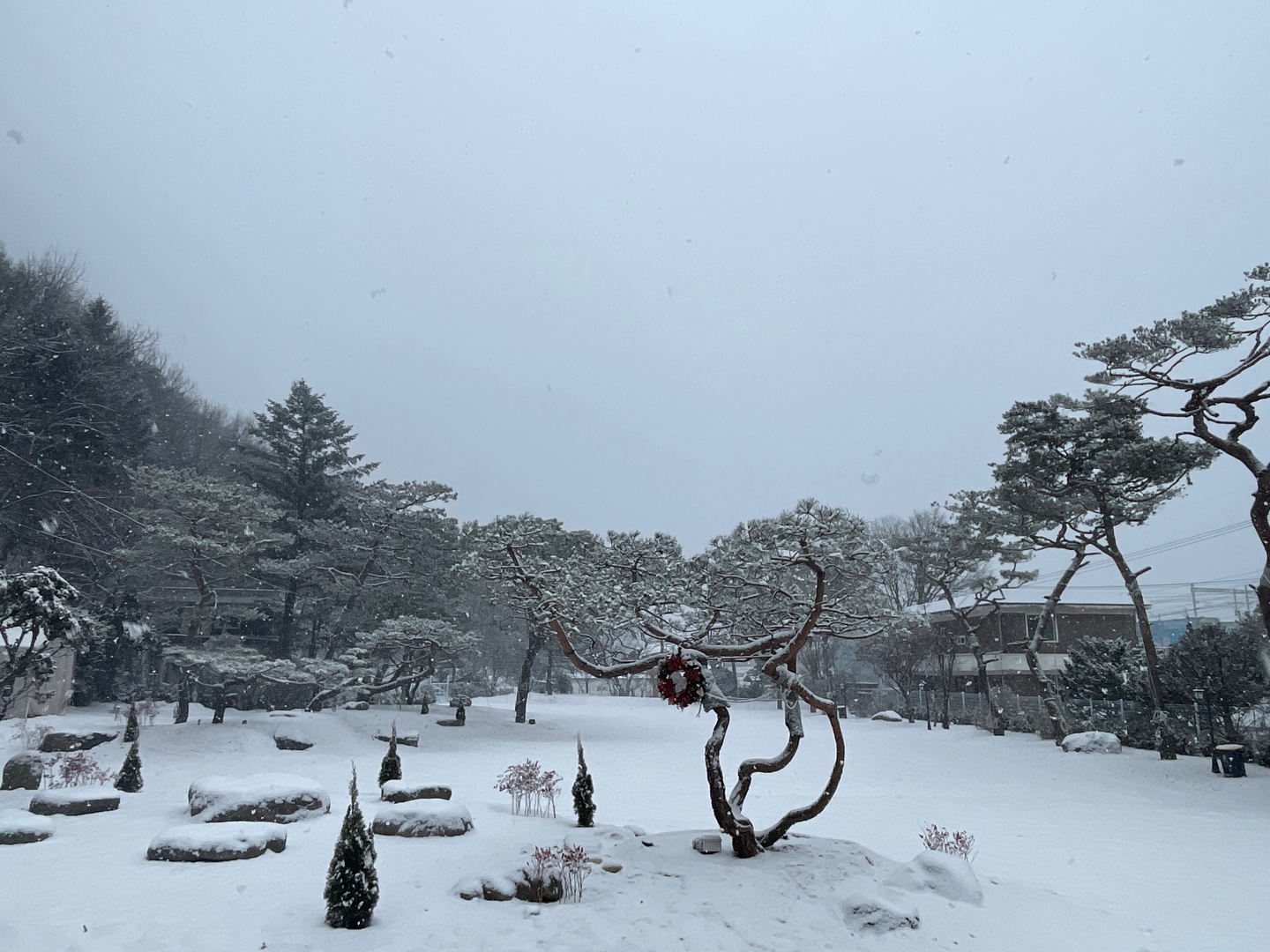 디그르르 7
