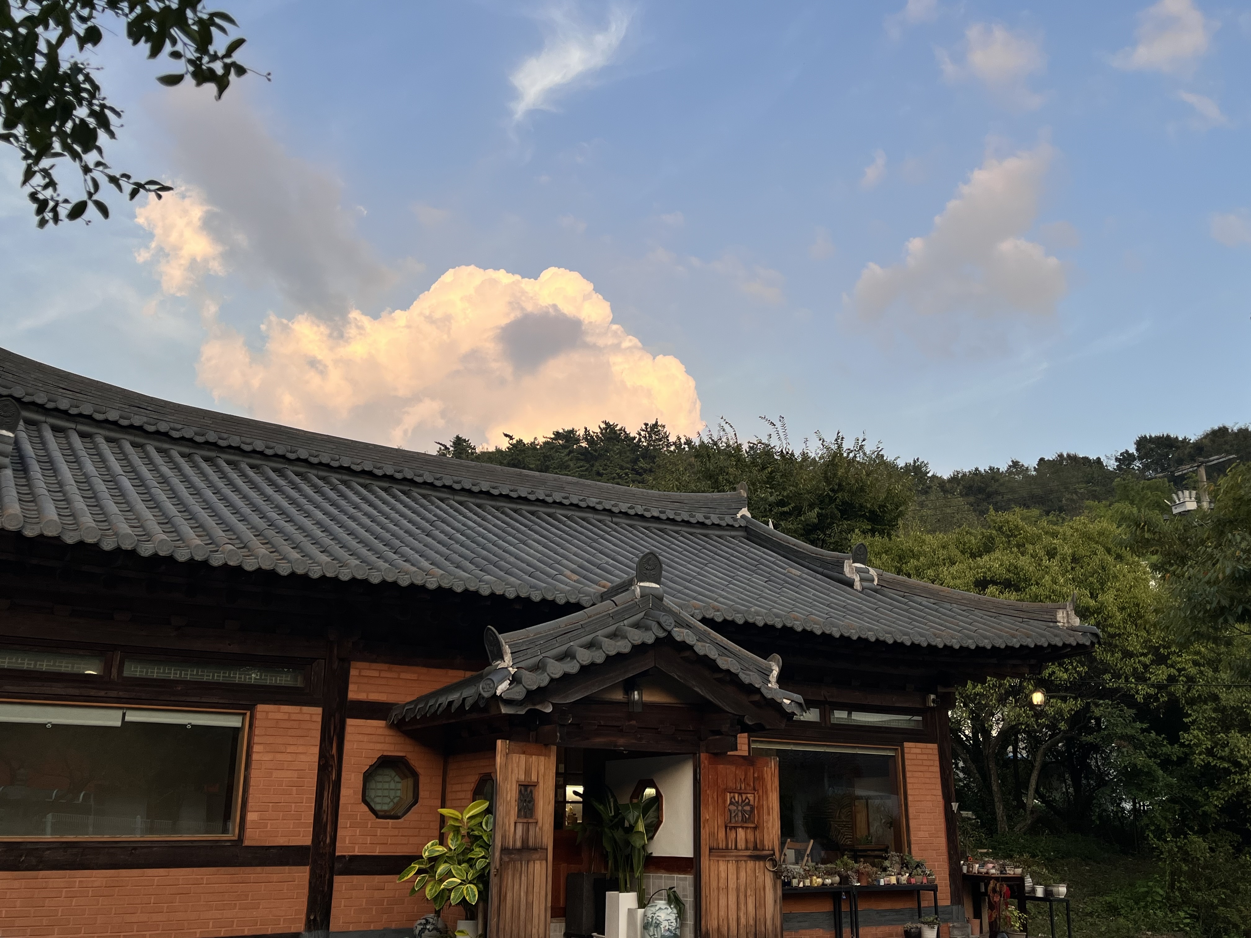 카페주다 반려동물 동반 애견카페