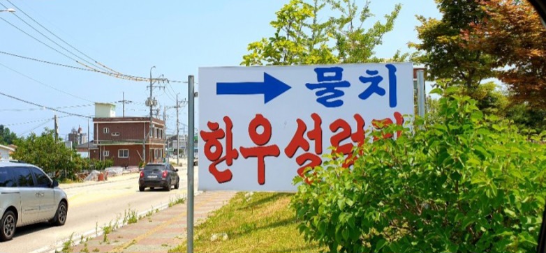 물치한우설렁탕