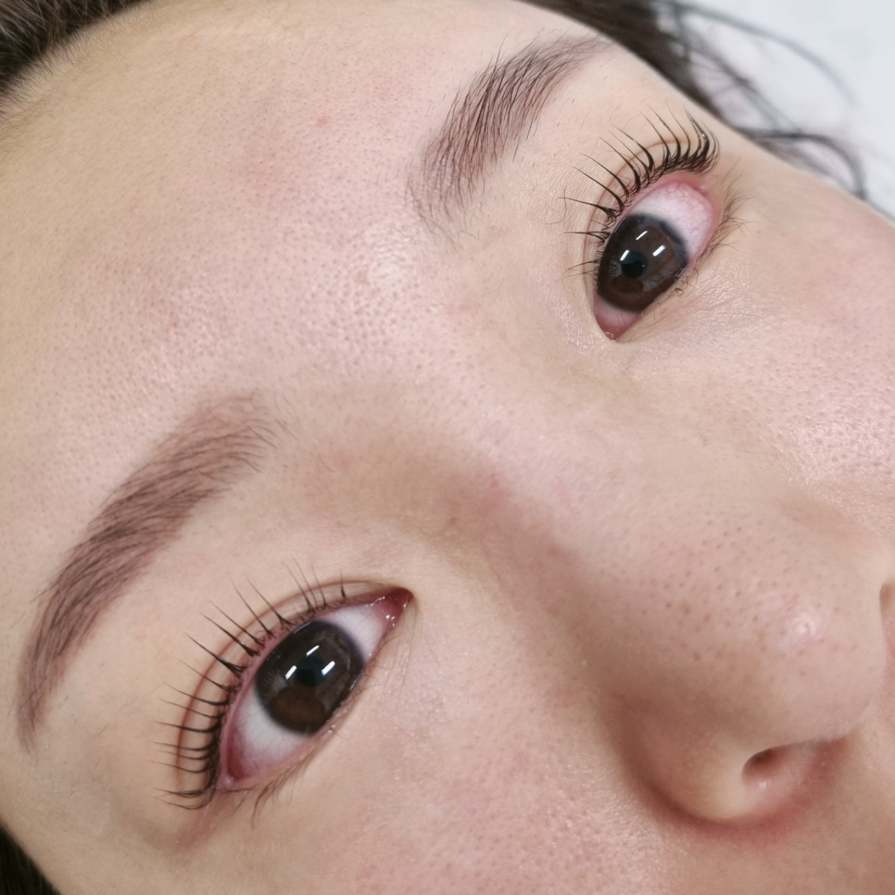 올림래쉬 대표 이미지