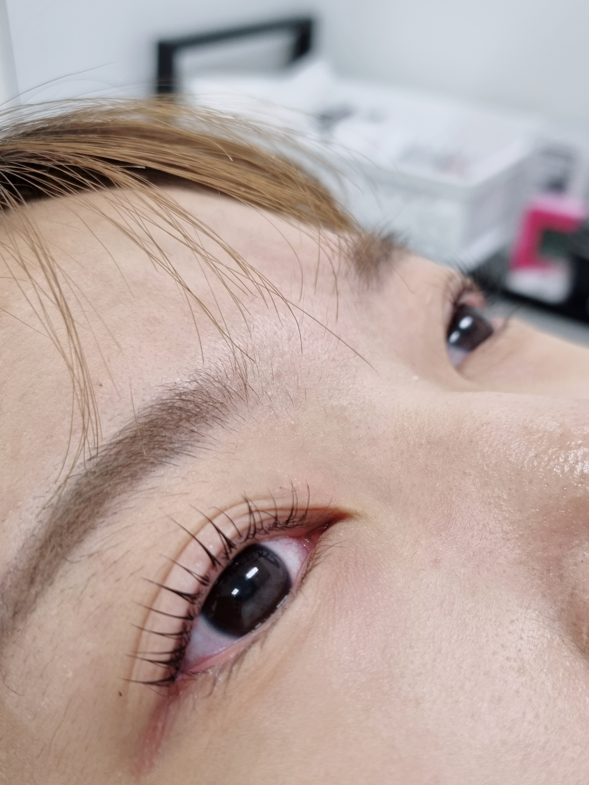 올림래쉬 대표 이미지