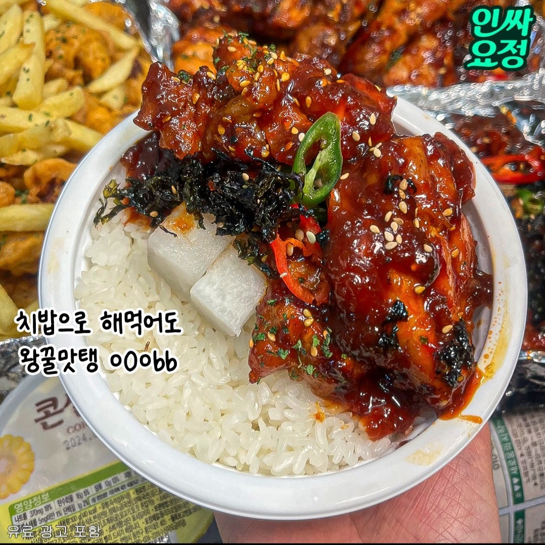 냠냠숯불두마리치킨 포항오천점