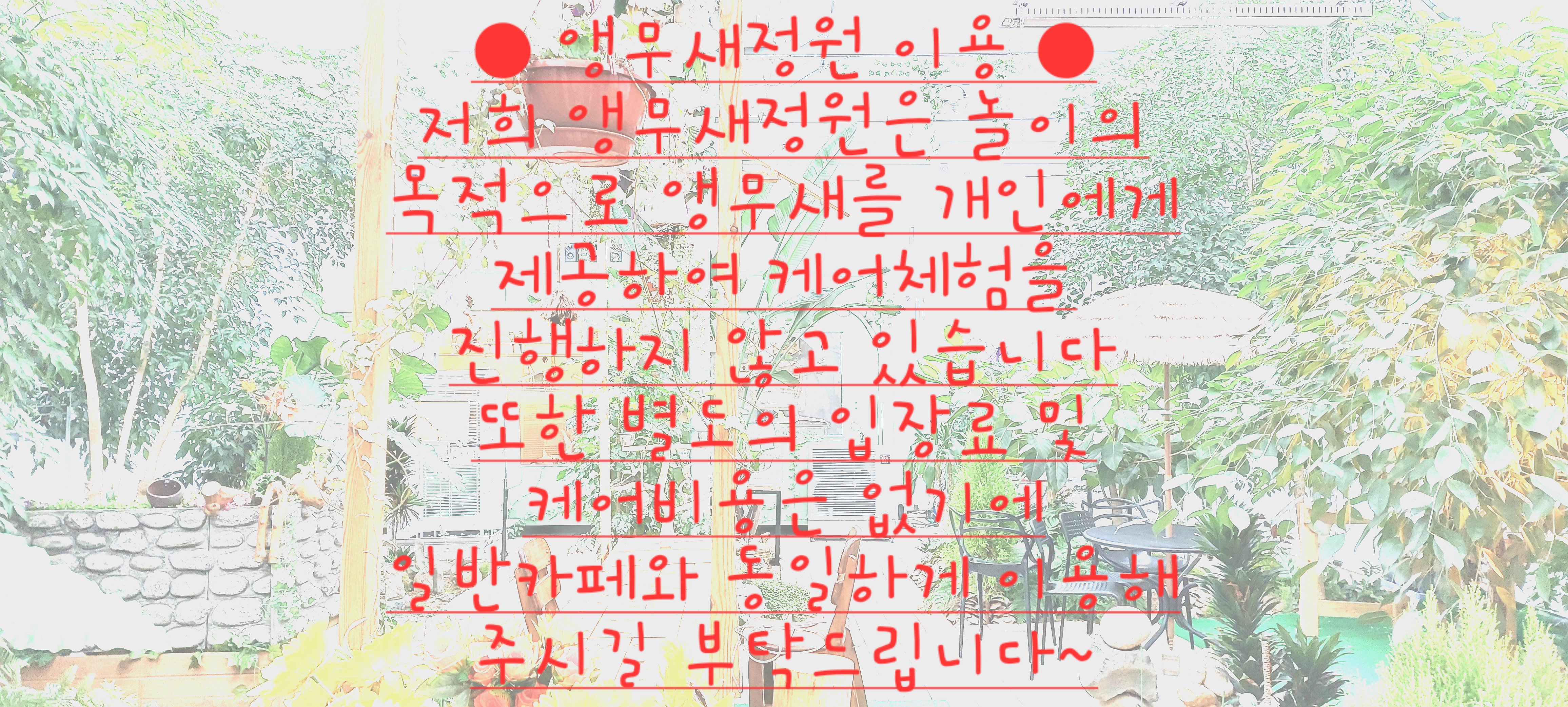 앵무새정원 꽃단지 3