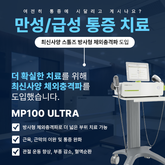 강남바른추의원