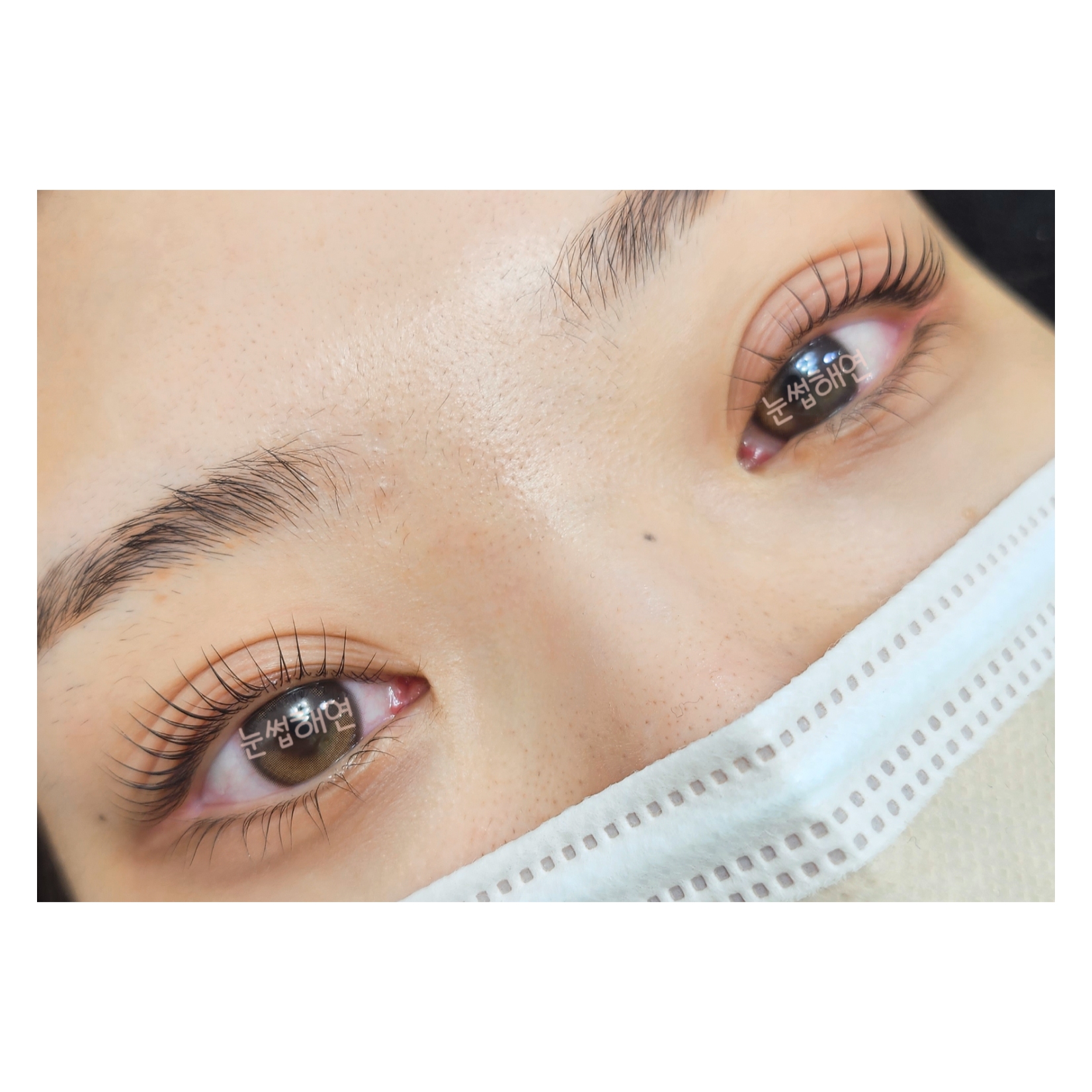 눈썹해연