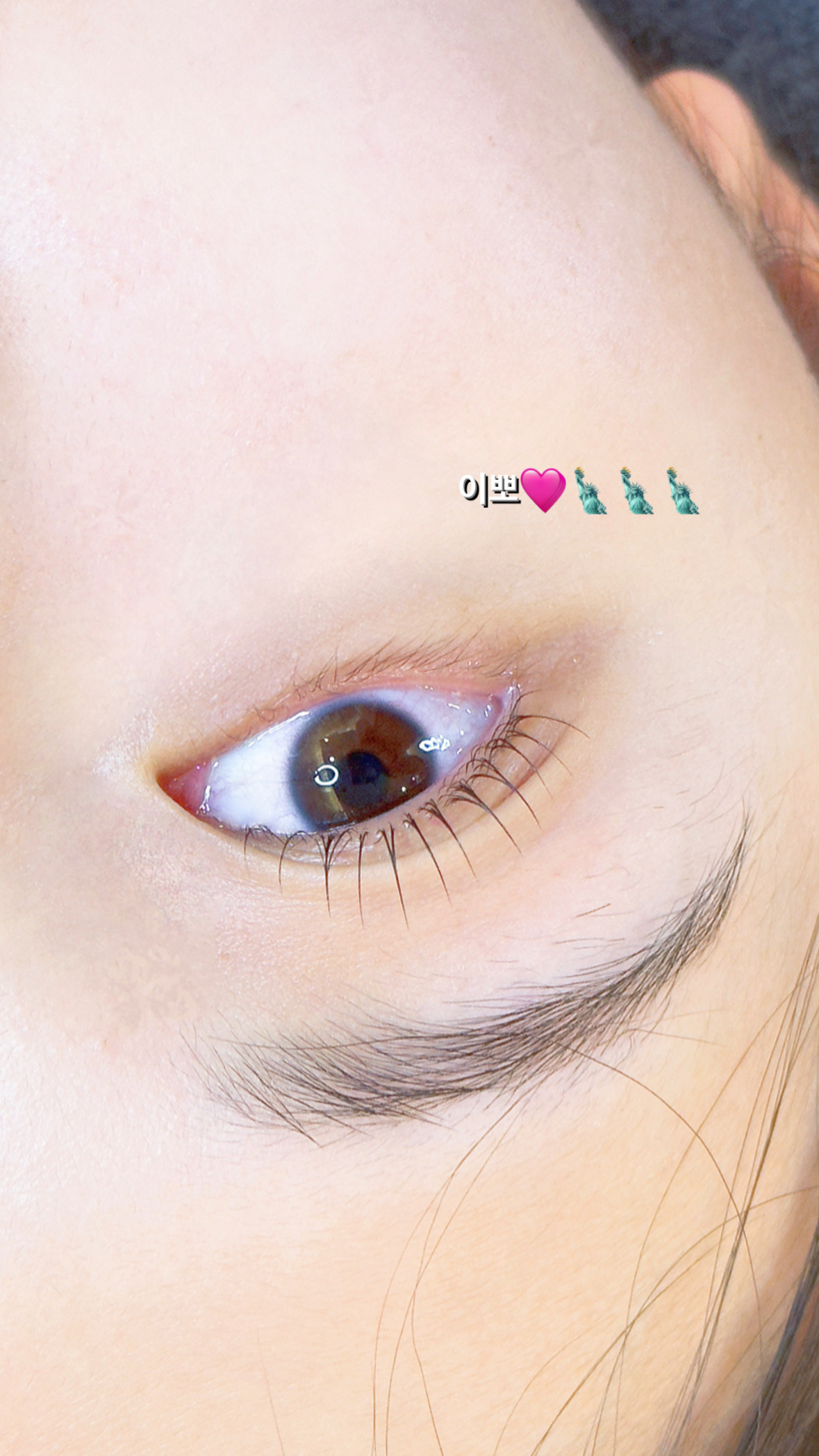 그날에,눈썹 대표 이미지