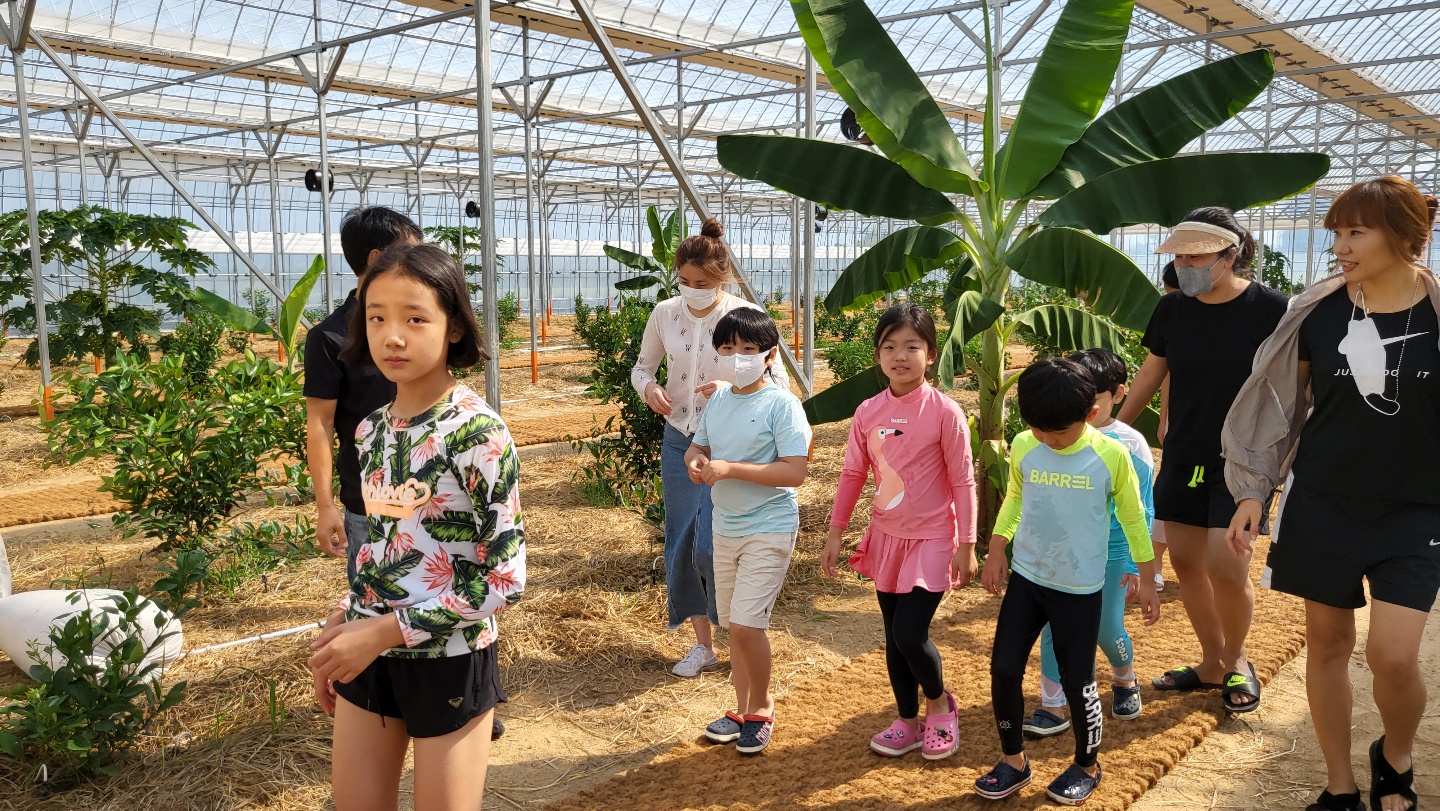 농업회사법인꿈에그린농장