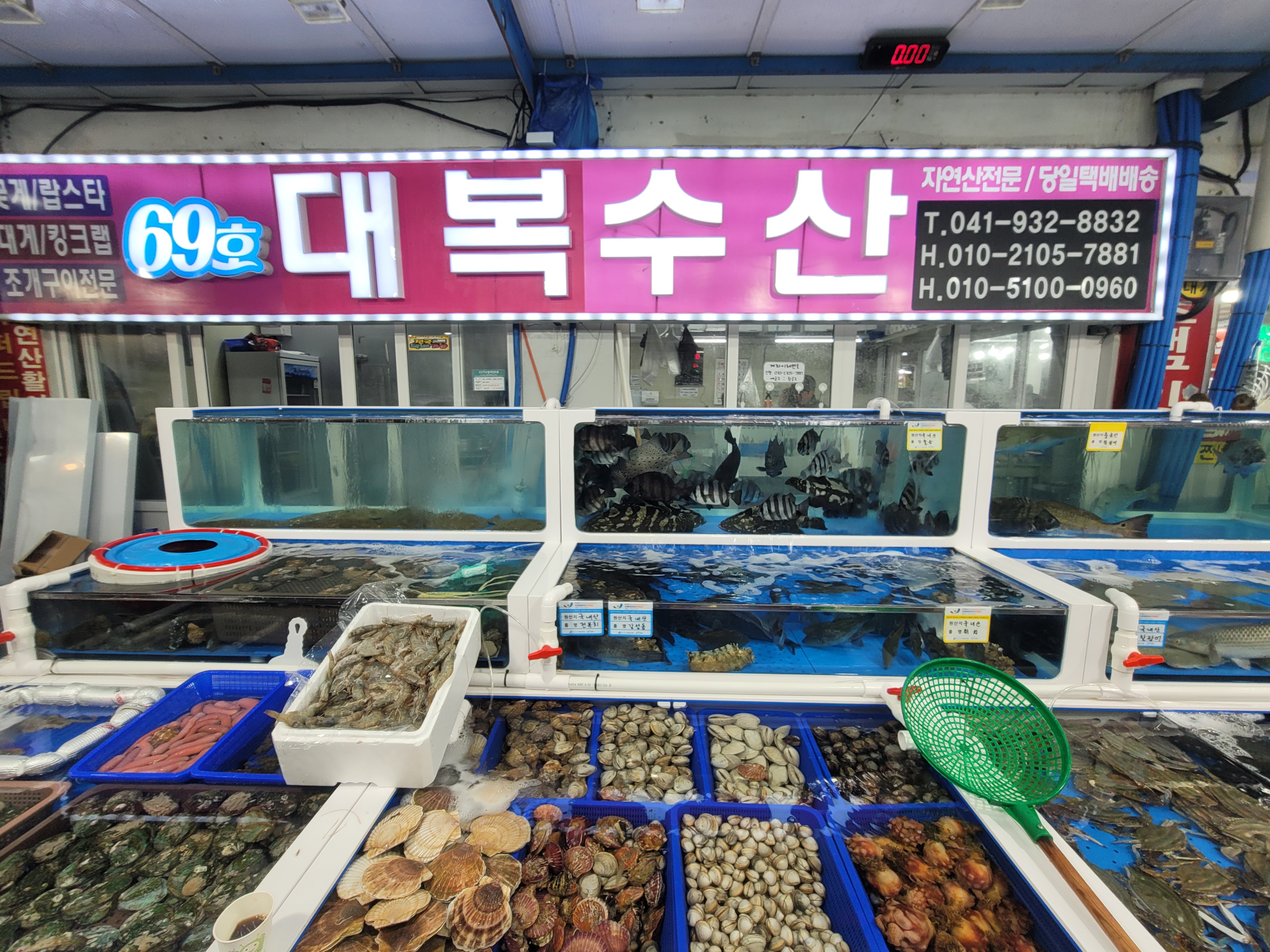 대복수산