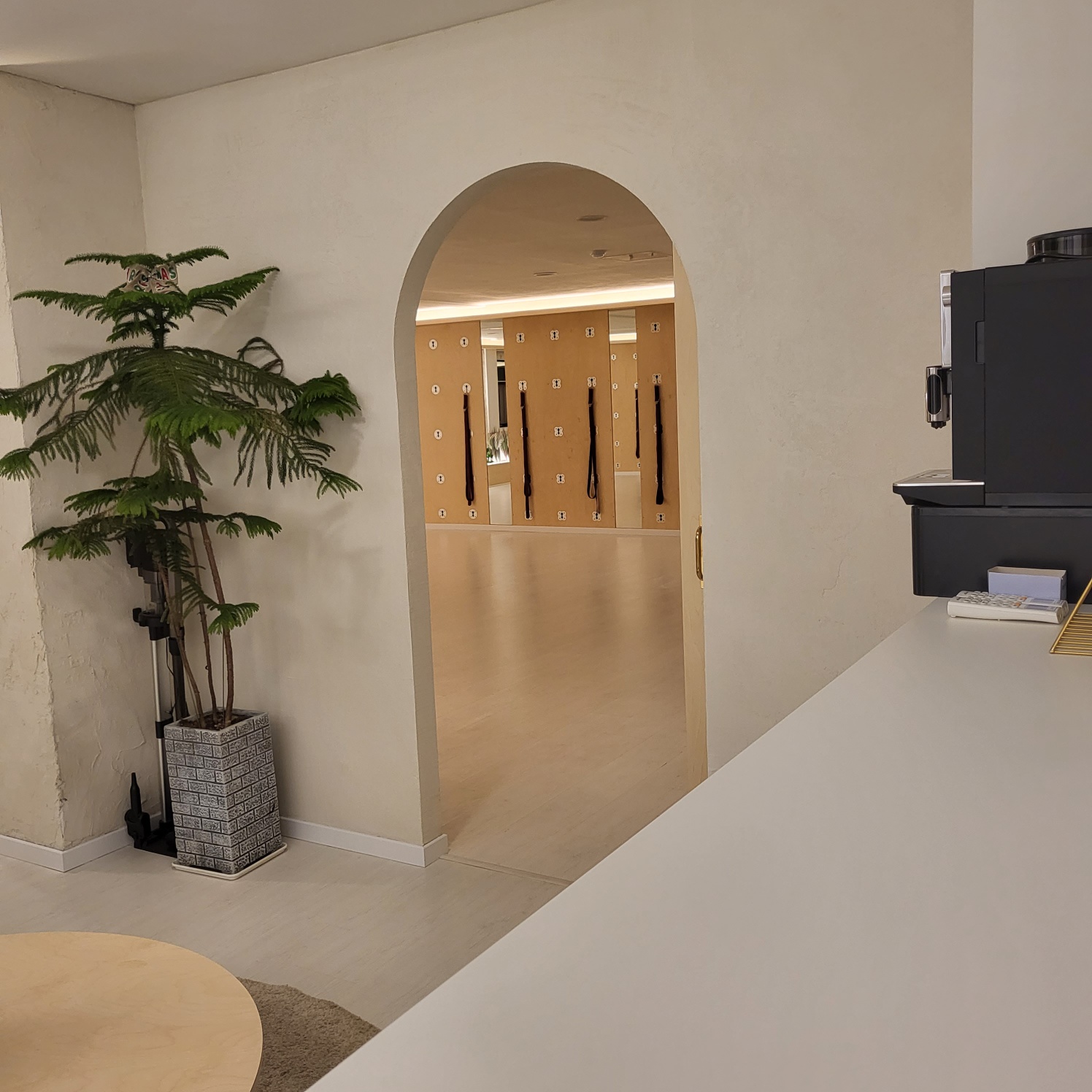 솔라즈요가 대표 이미지