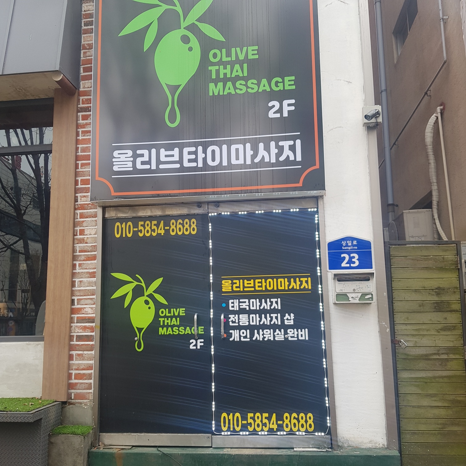 올리브 photo 2