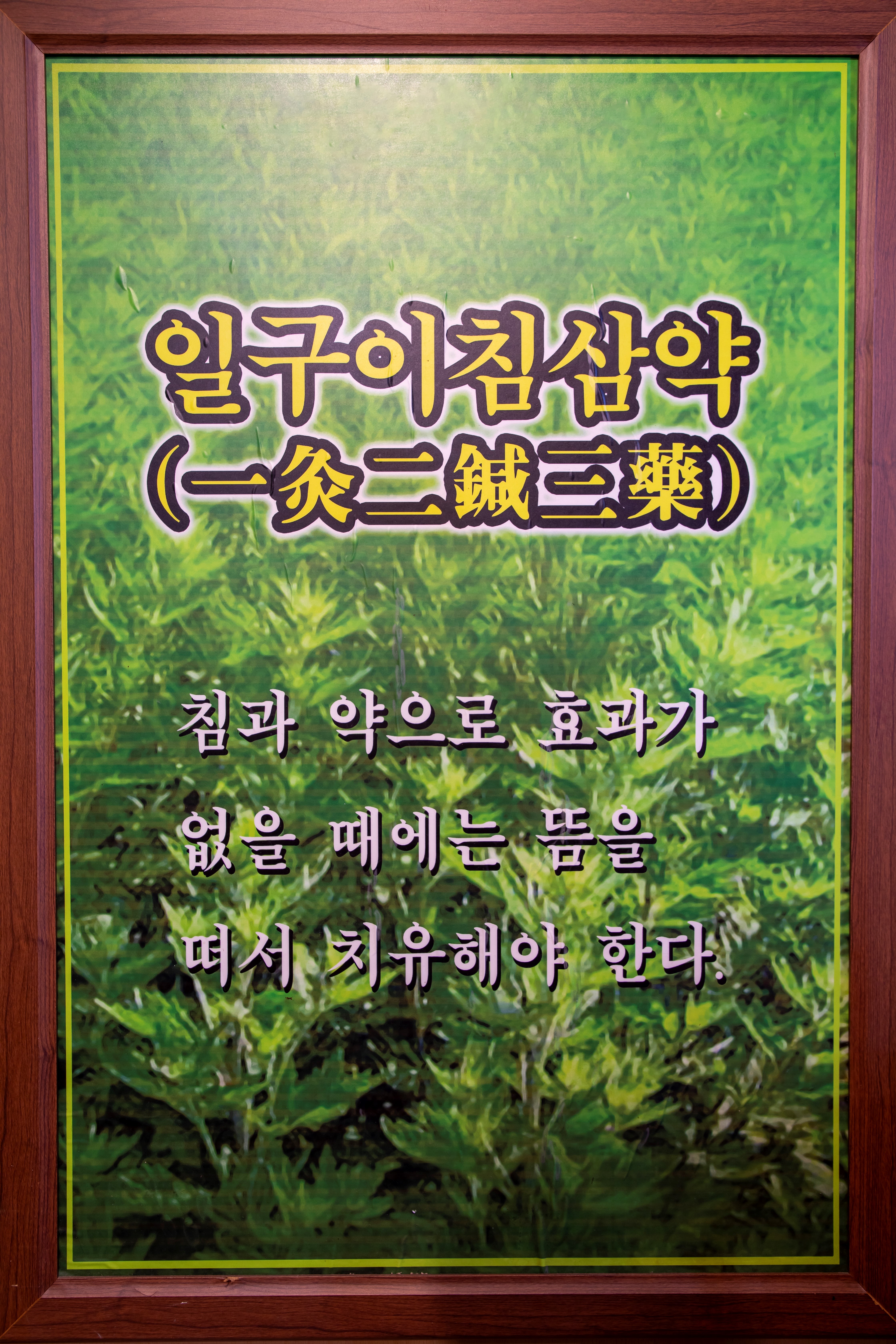 오행웰빙쑥뜸방