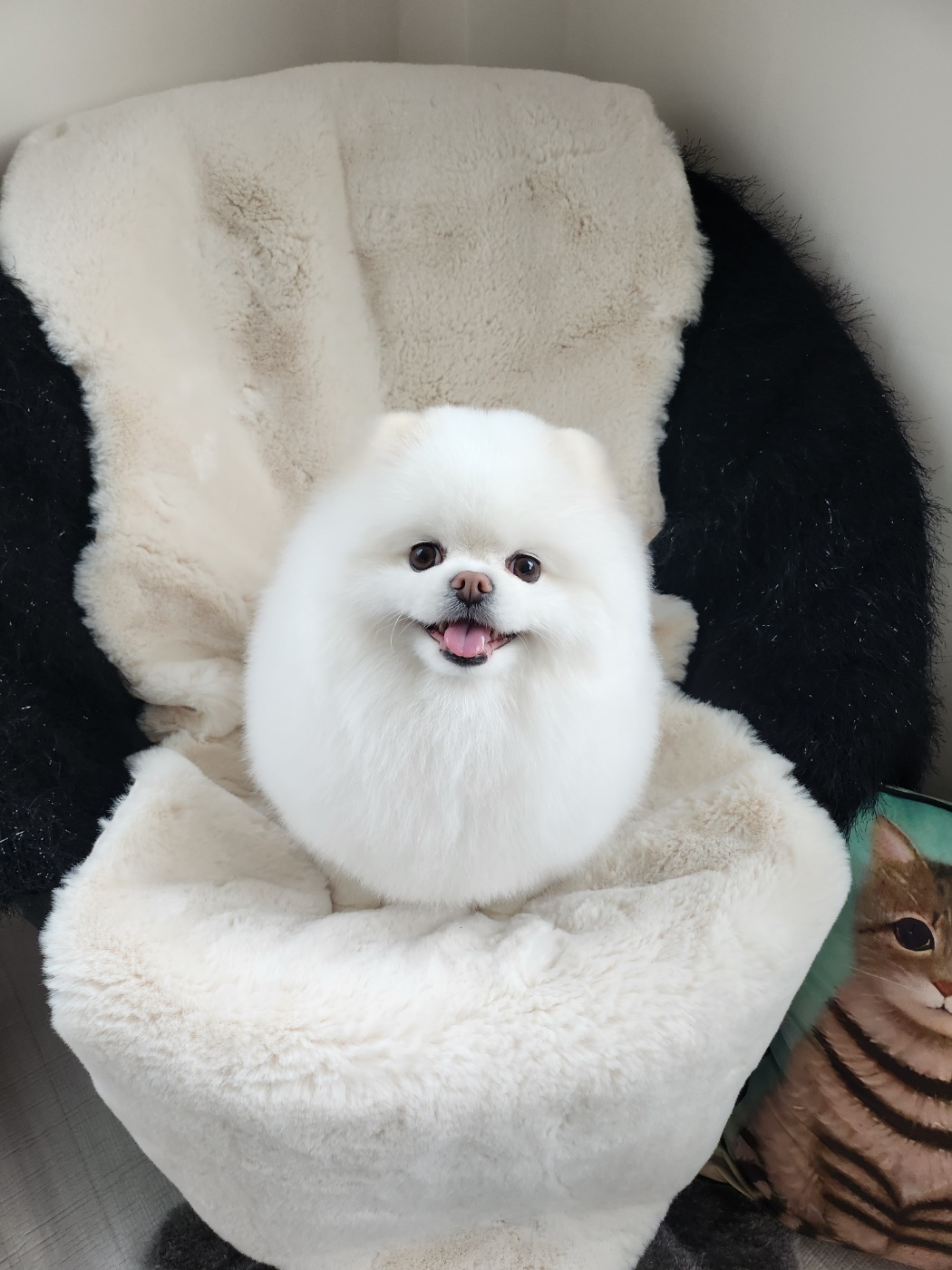 반듯한멍이