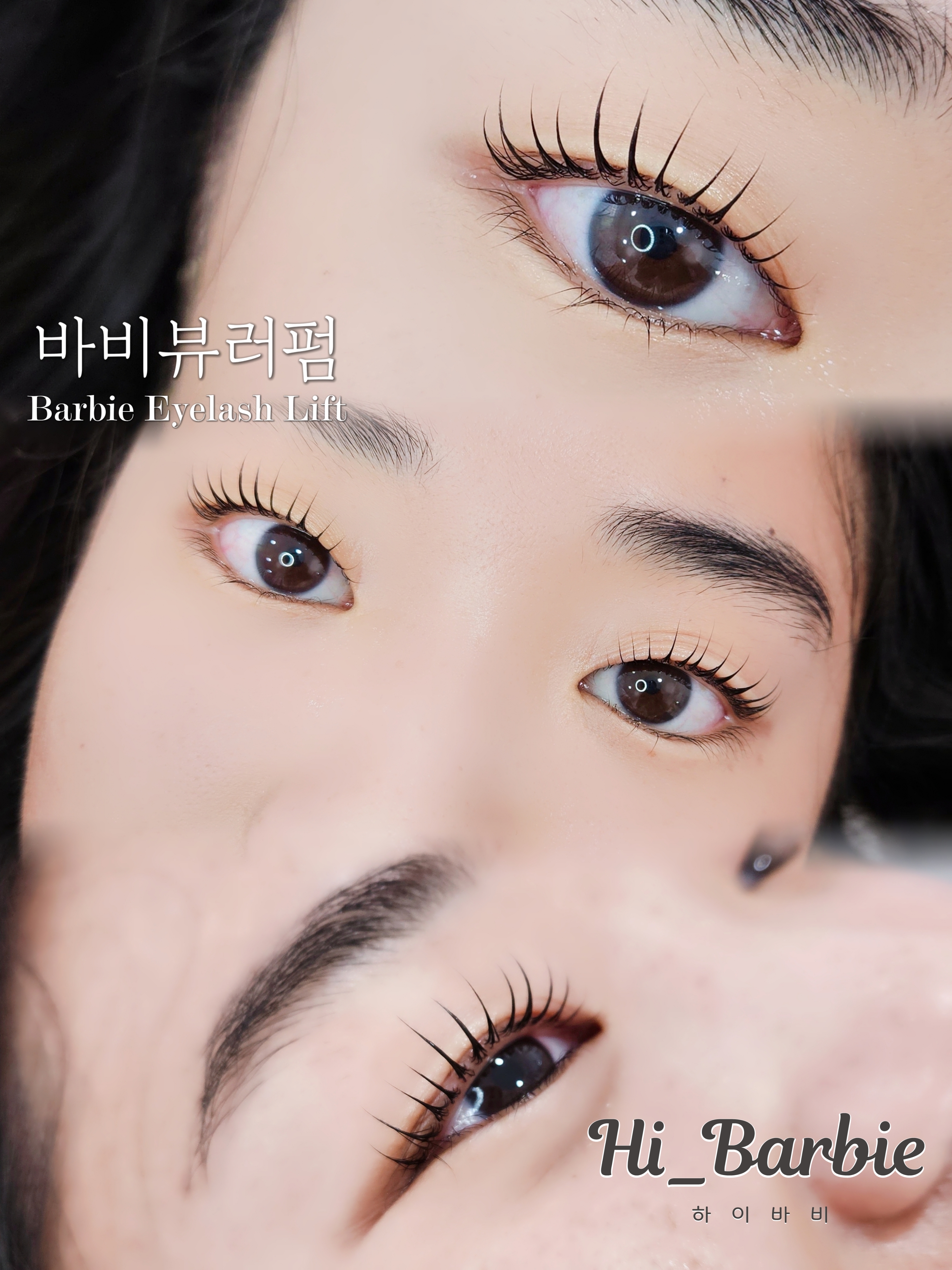 하이바비