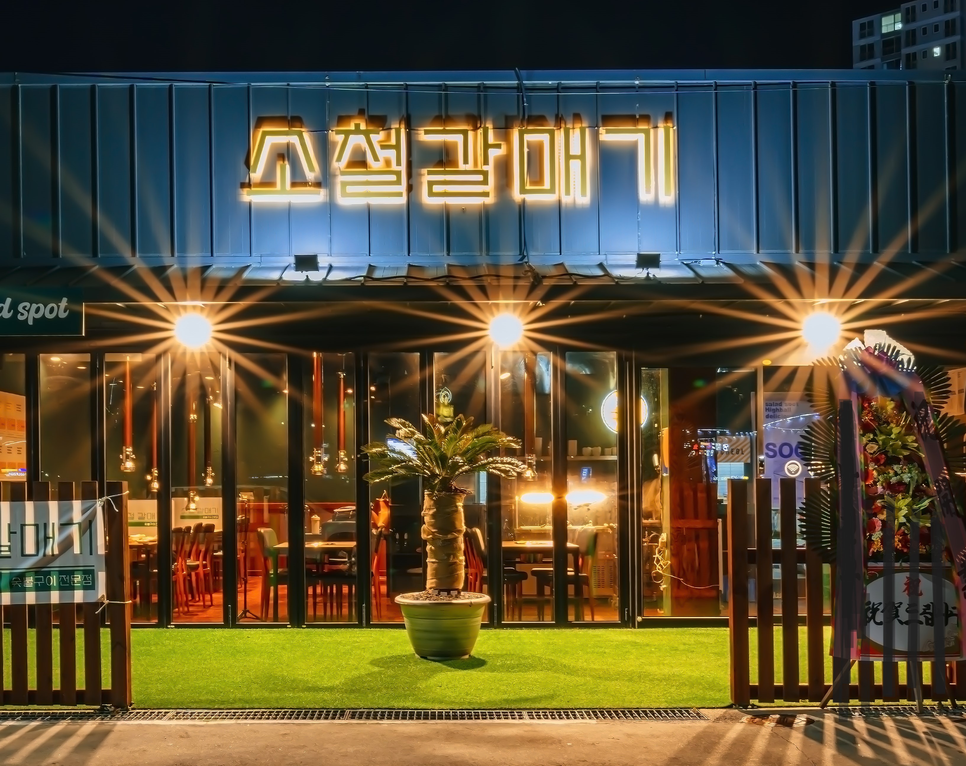 소철갈매기